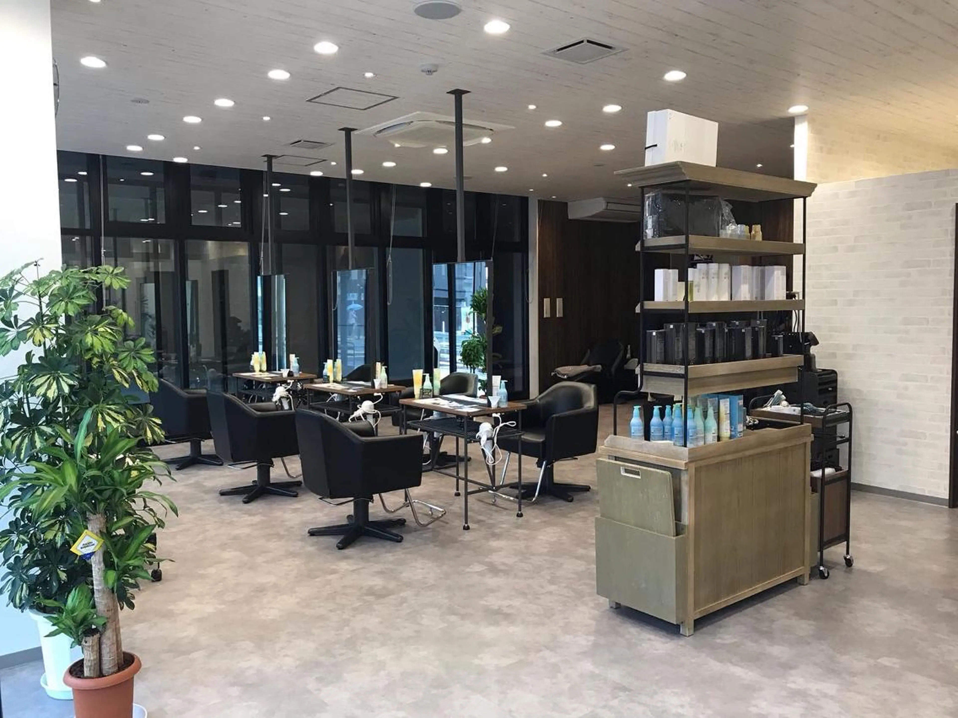 齋藤 智佳のヘアスタイル