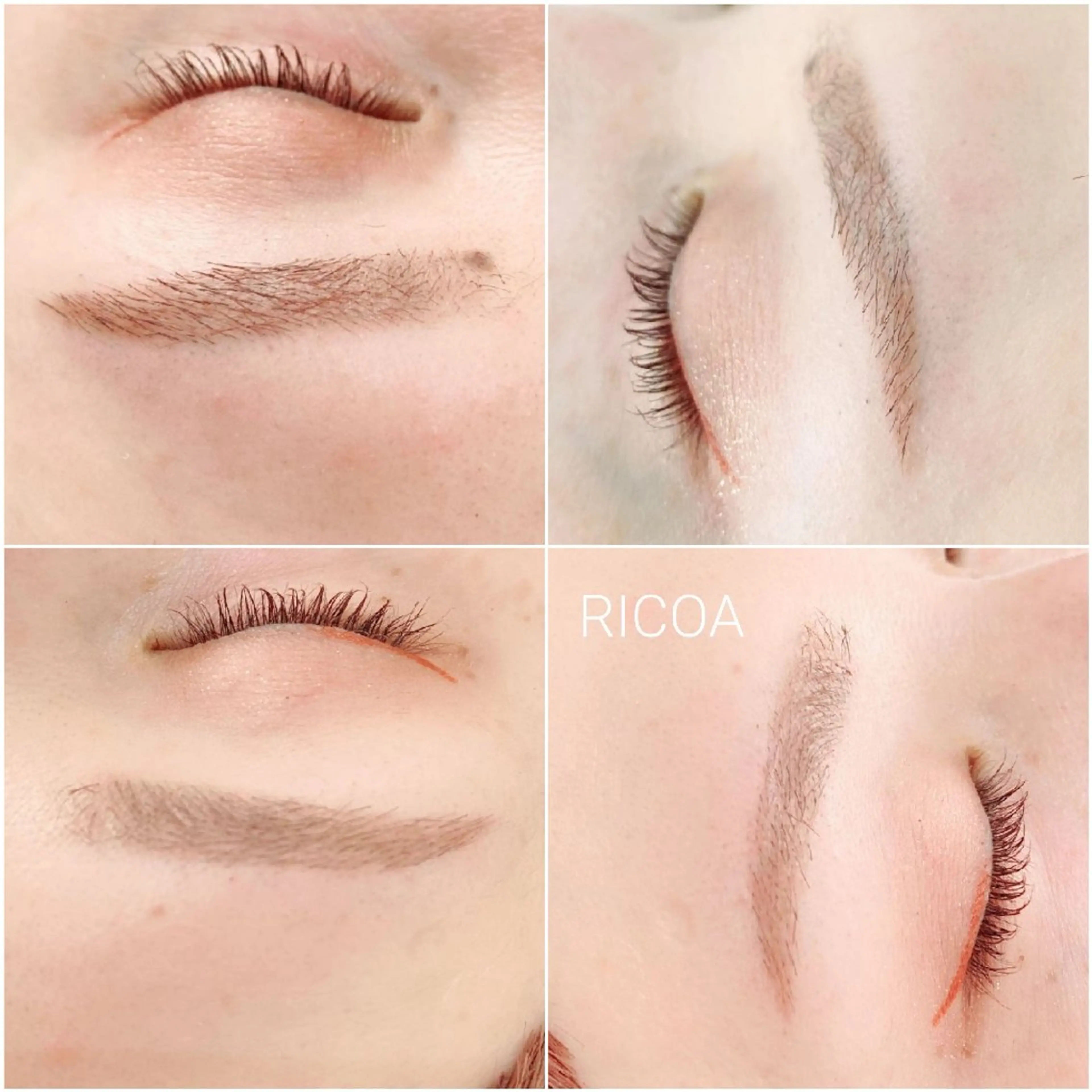 アイブロウ 眉毛ワックス脱毛 ワックス脱毛 眉カット その他(アイブロウ) RICOA 酒井のマツエク・マツパデザイン