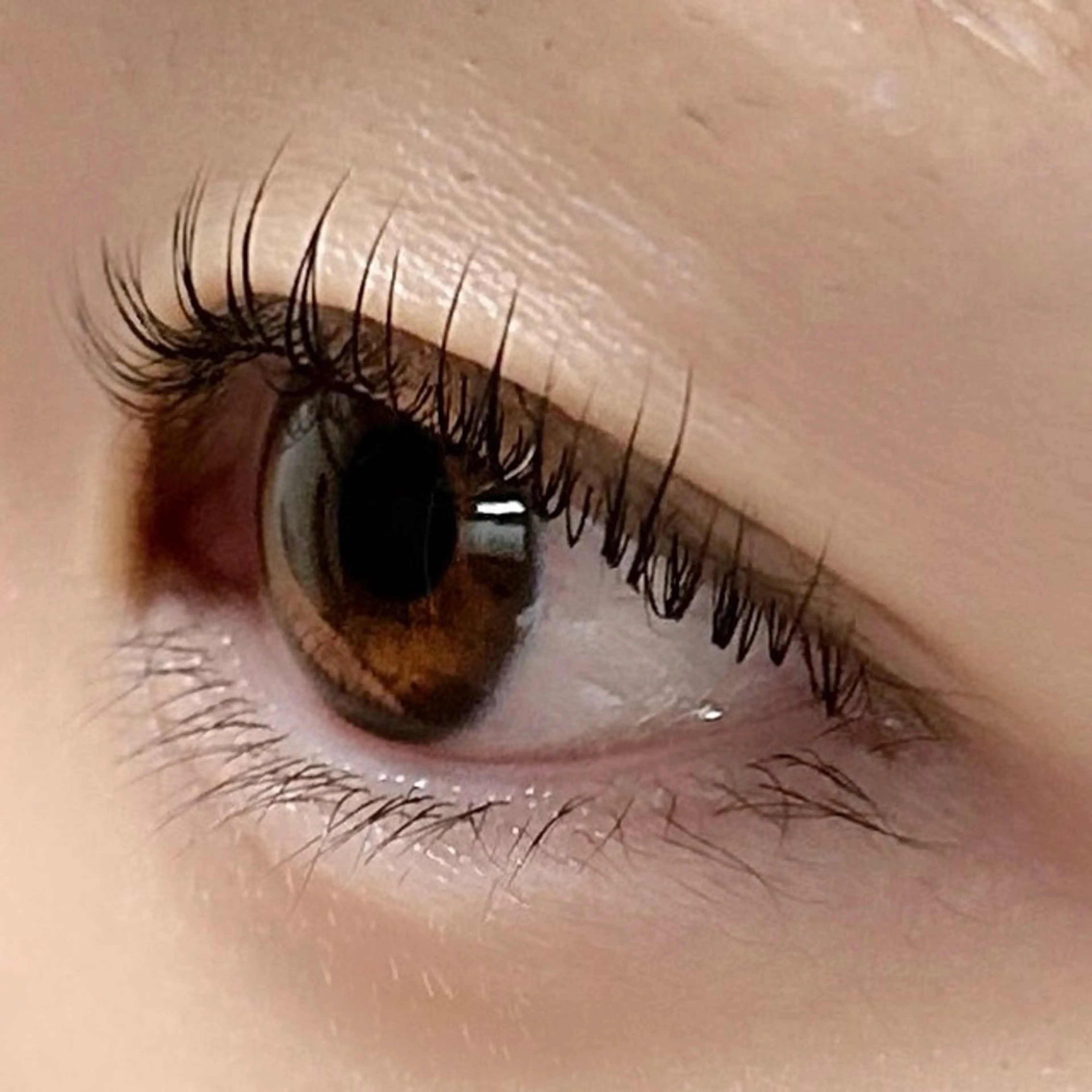 マツエク・マツパ Salon   iroha所属・Salon irohaのマツエク・マツパデザイン