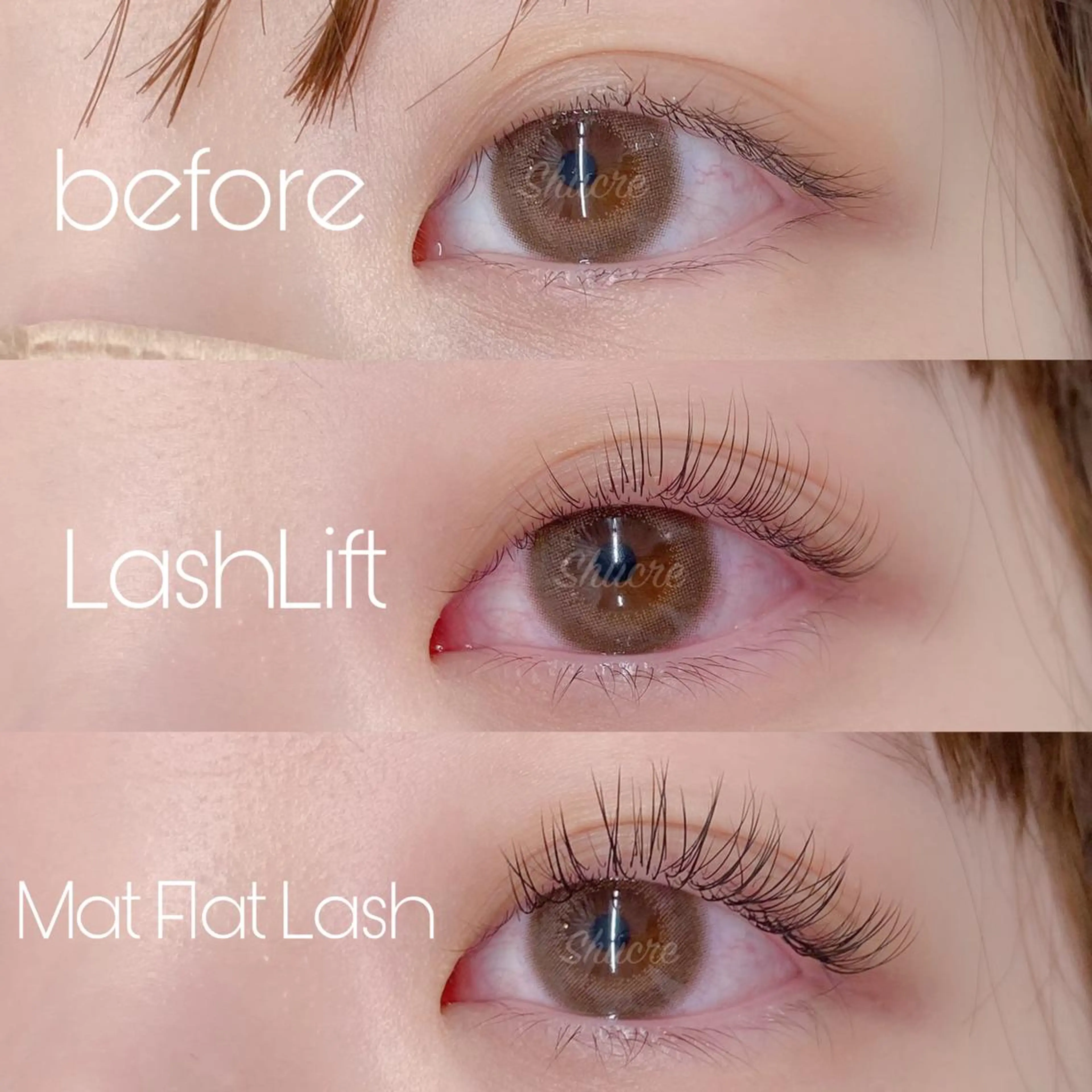 マツエク・マツパ Shucre栄店🤍 Rikaのマツエク・マツパデザイン