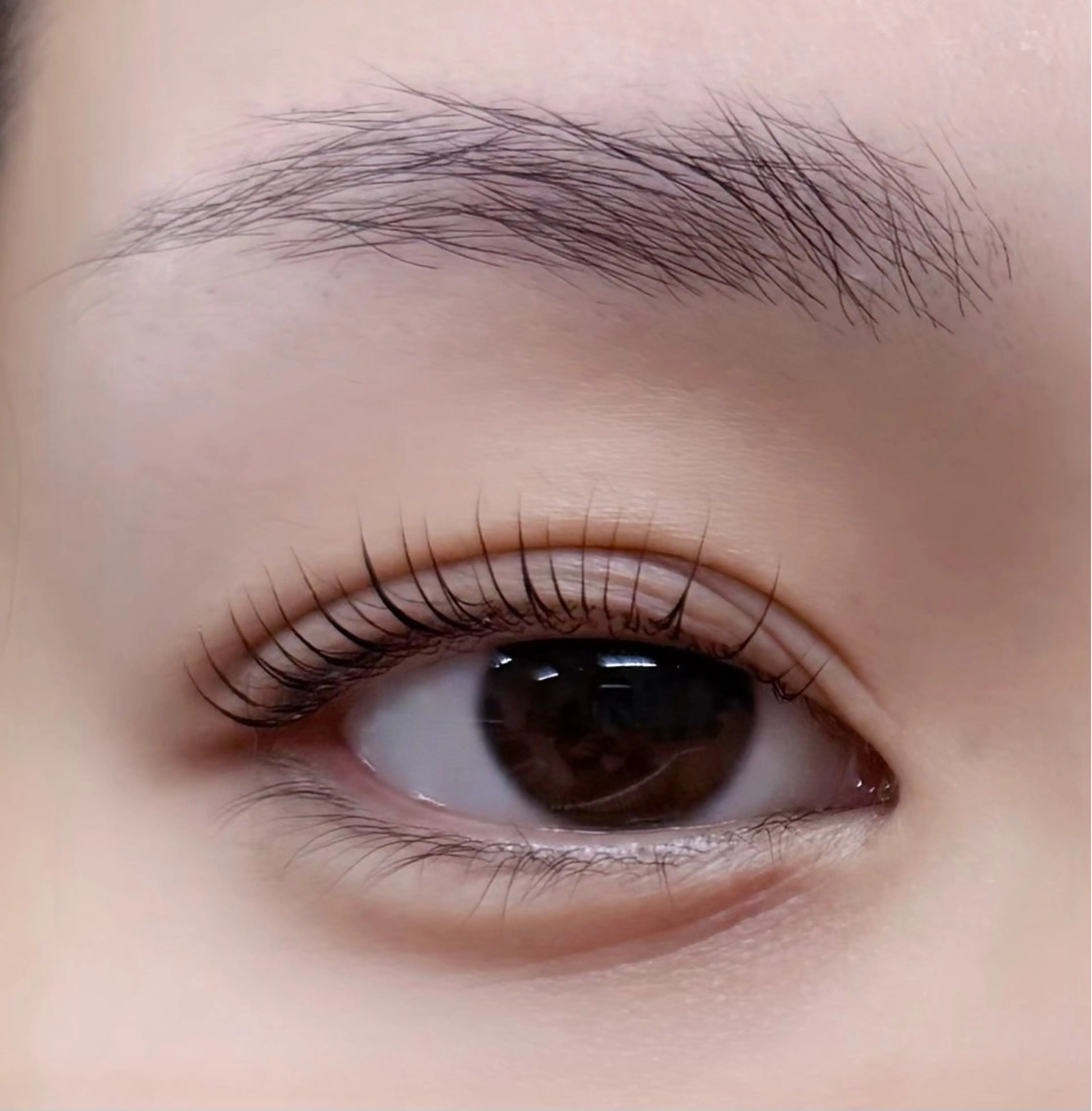 マツエク・マツパ Une fleur MEIの眉毛・アイブロウイメージ