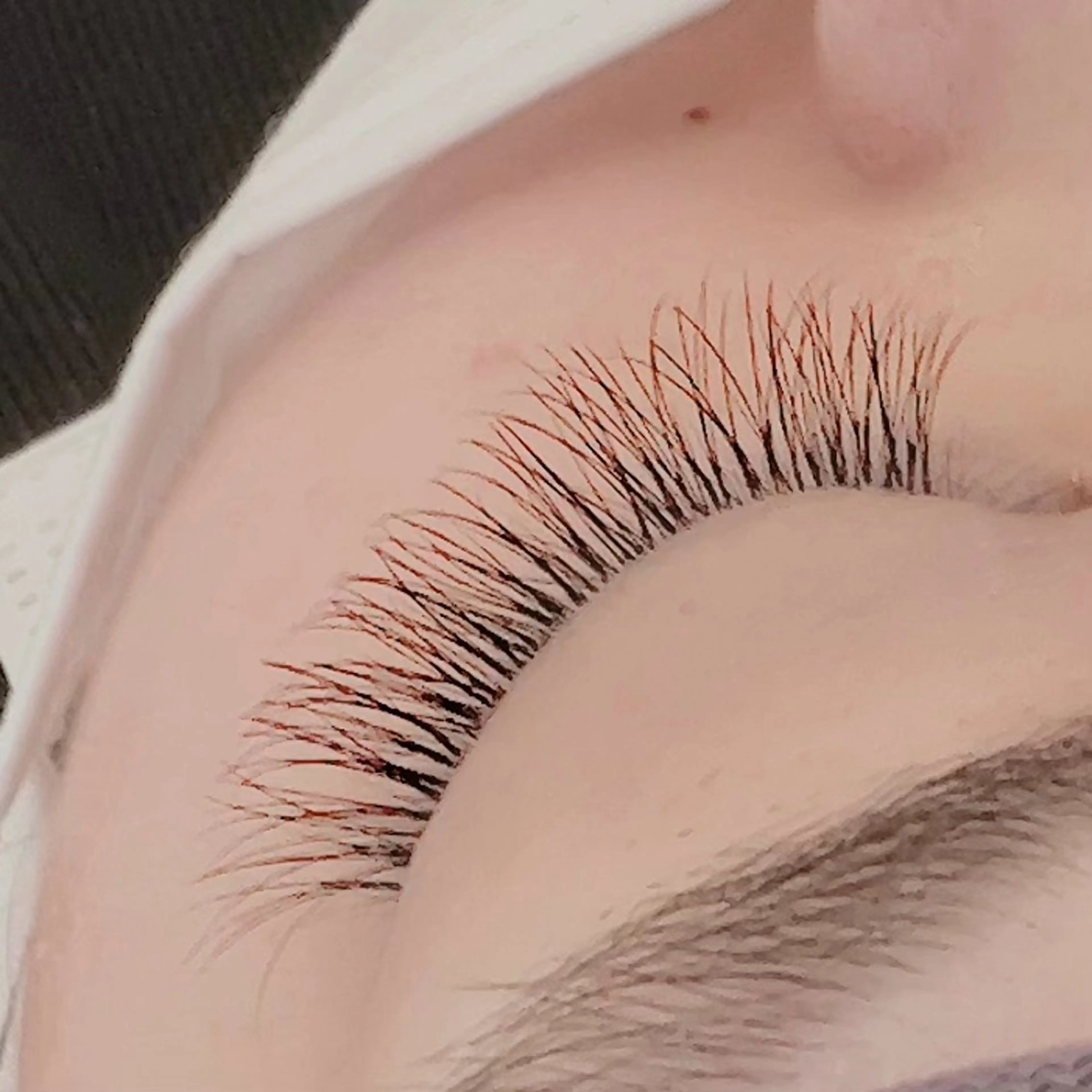 マツエク・マツパ Luxe ···▸﻿ Seike🐈‍⬛⸒の眉毛・アイブロウイメージ