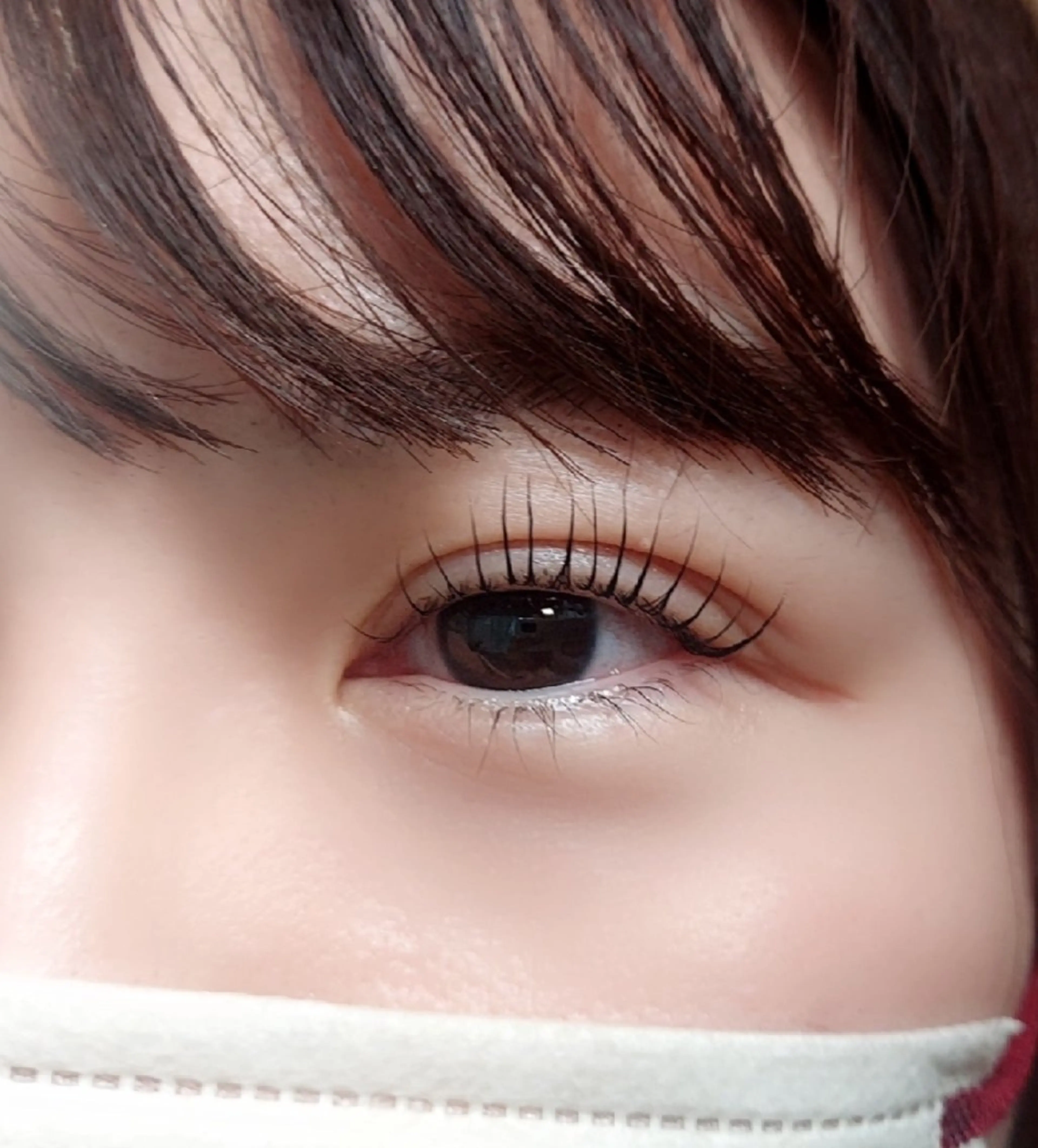 29日限定　まつ毛パーマの写真