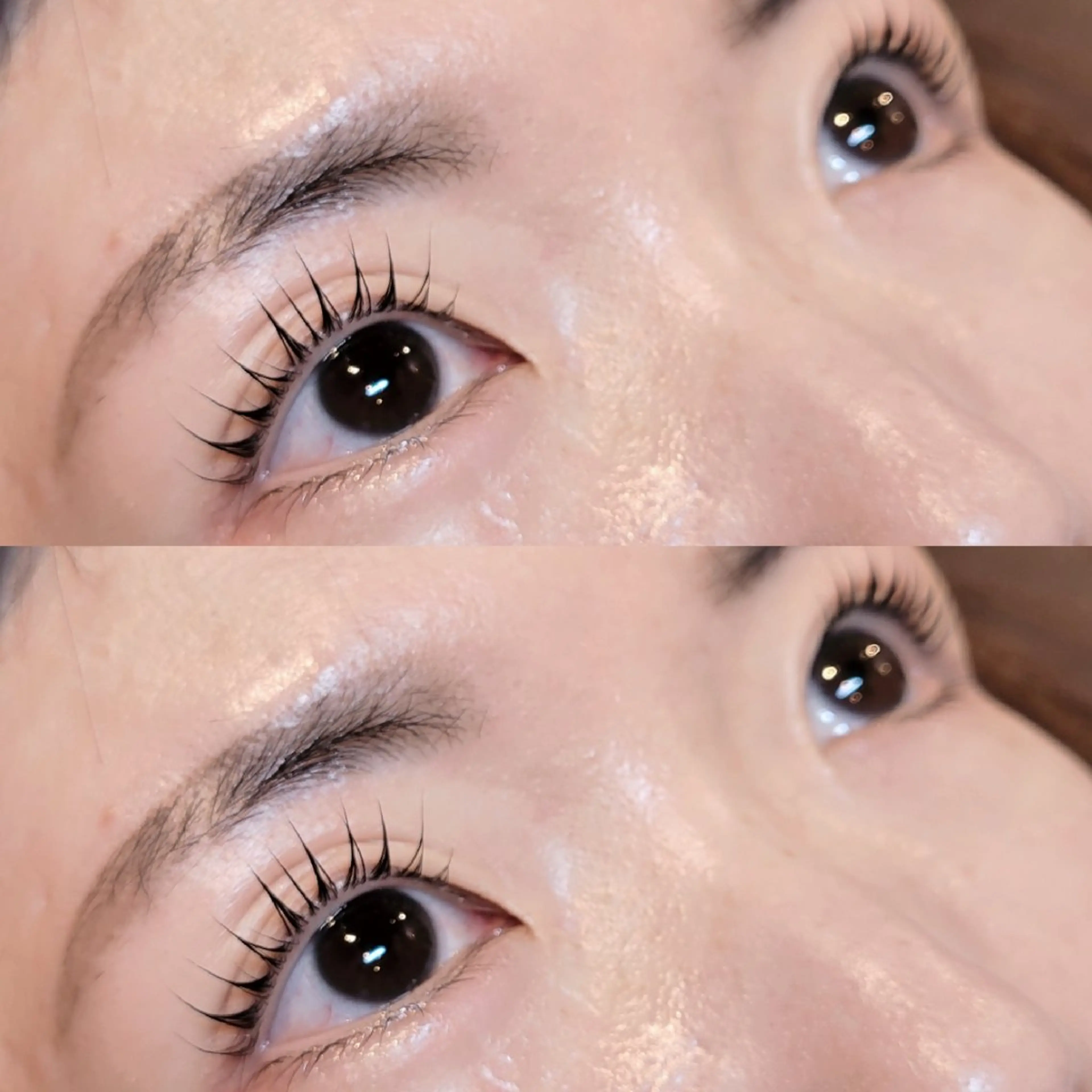 ✨目元垢抜け✨パリジェンヌorパーマ  アイシャンプーコーティングつき+ホームケアラッシュアディクトつきの写真