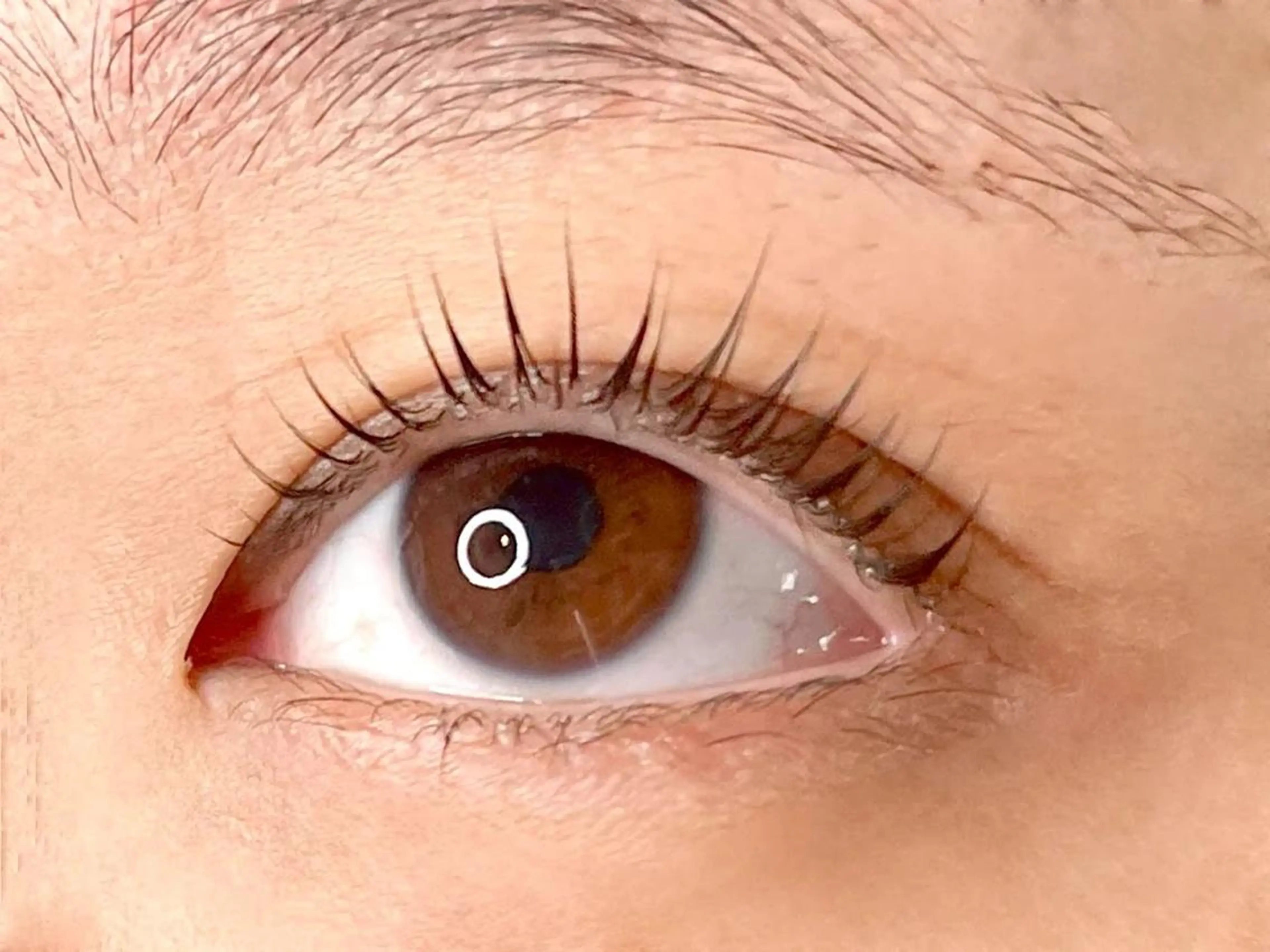 マツエク・マツパ パリジェンヌラッシュリフト ilka 錦糸町所属・小澤 亜美のマツエク・マツパデザイン