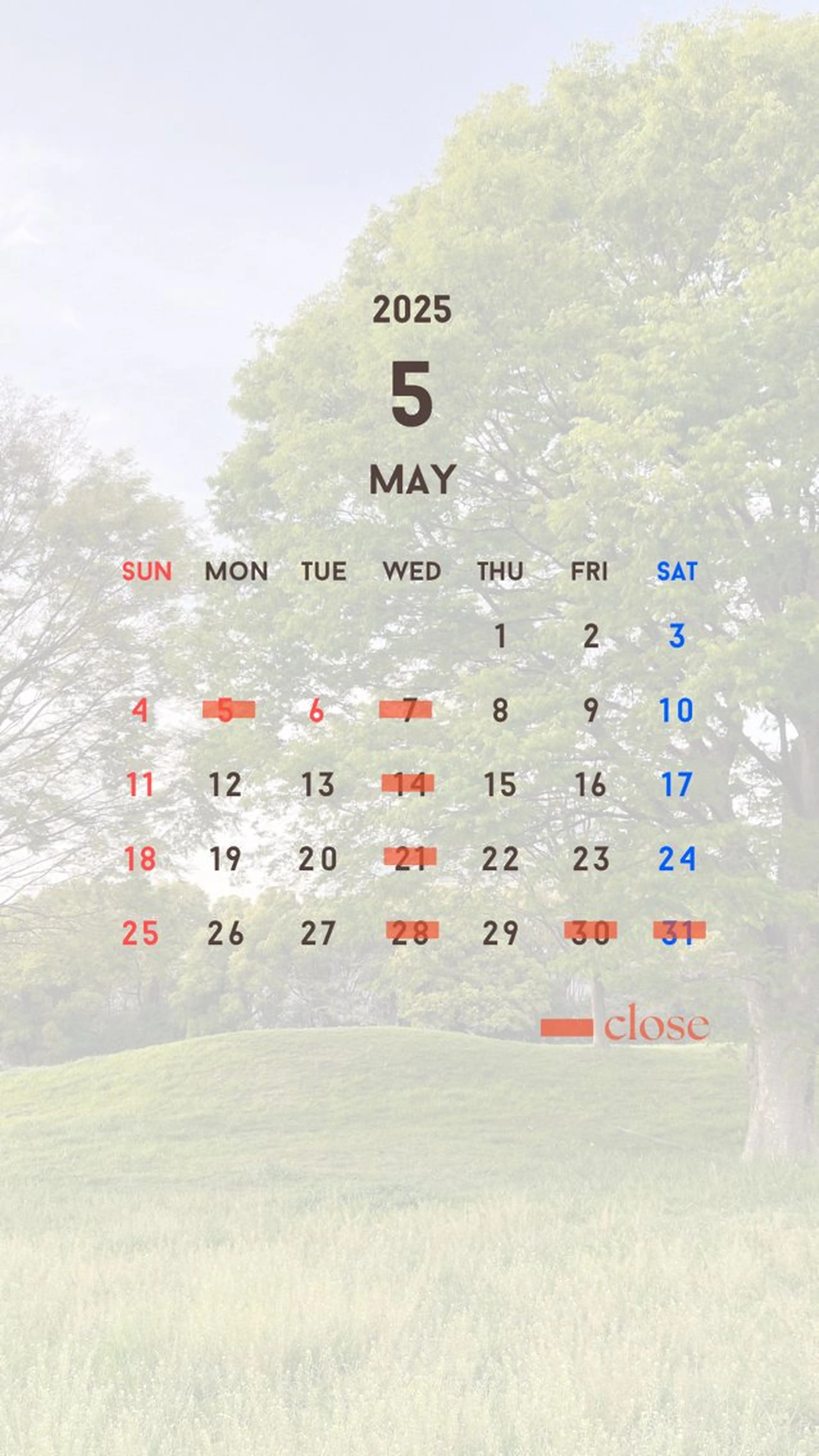 アイブロウ tsumugi🌿 YURIの眉毛・アイブロウイメージ