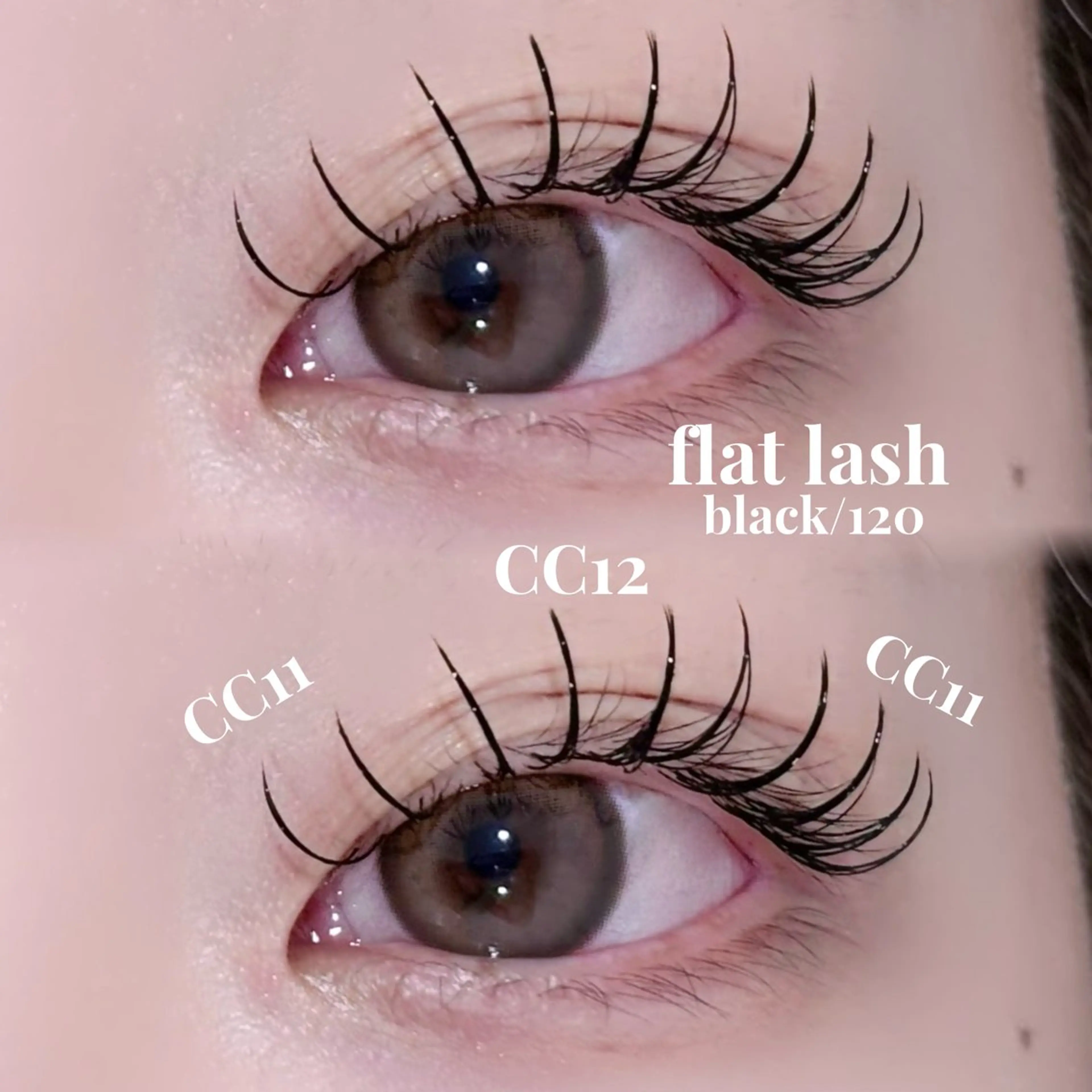 マツエク・マツパ CCカール Cカール フラットラッシュ miyu / sofa吉祥寺のマツエク・マツパデザイン