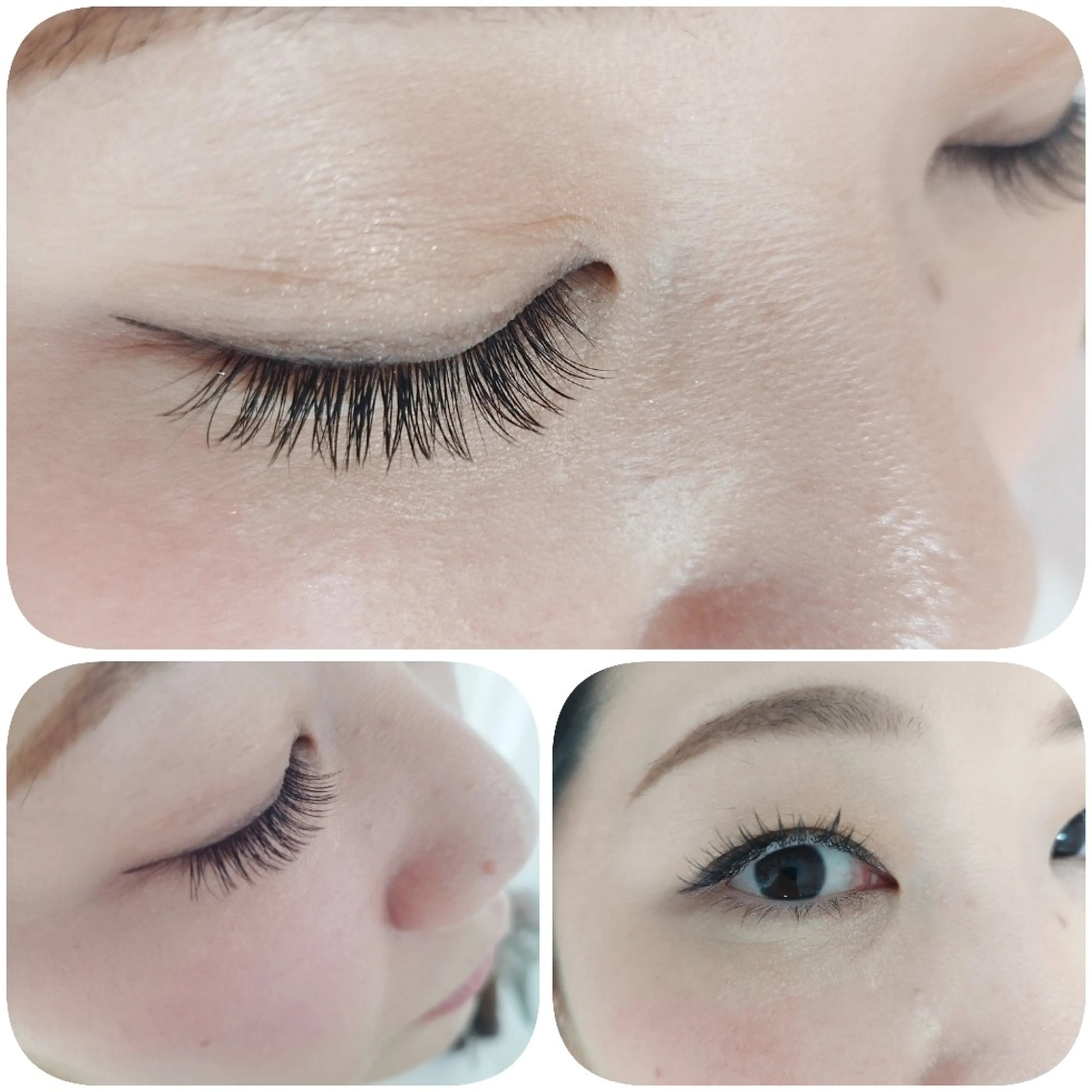 バインドロック　160束　オフ込　アイシャンプー付きの写真