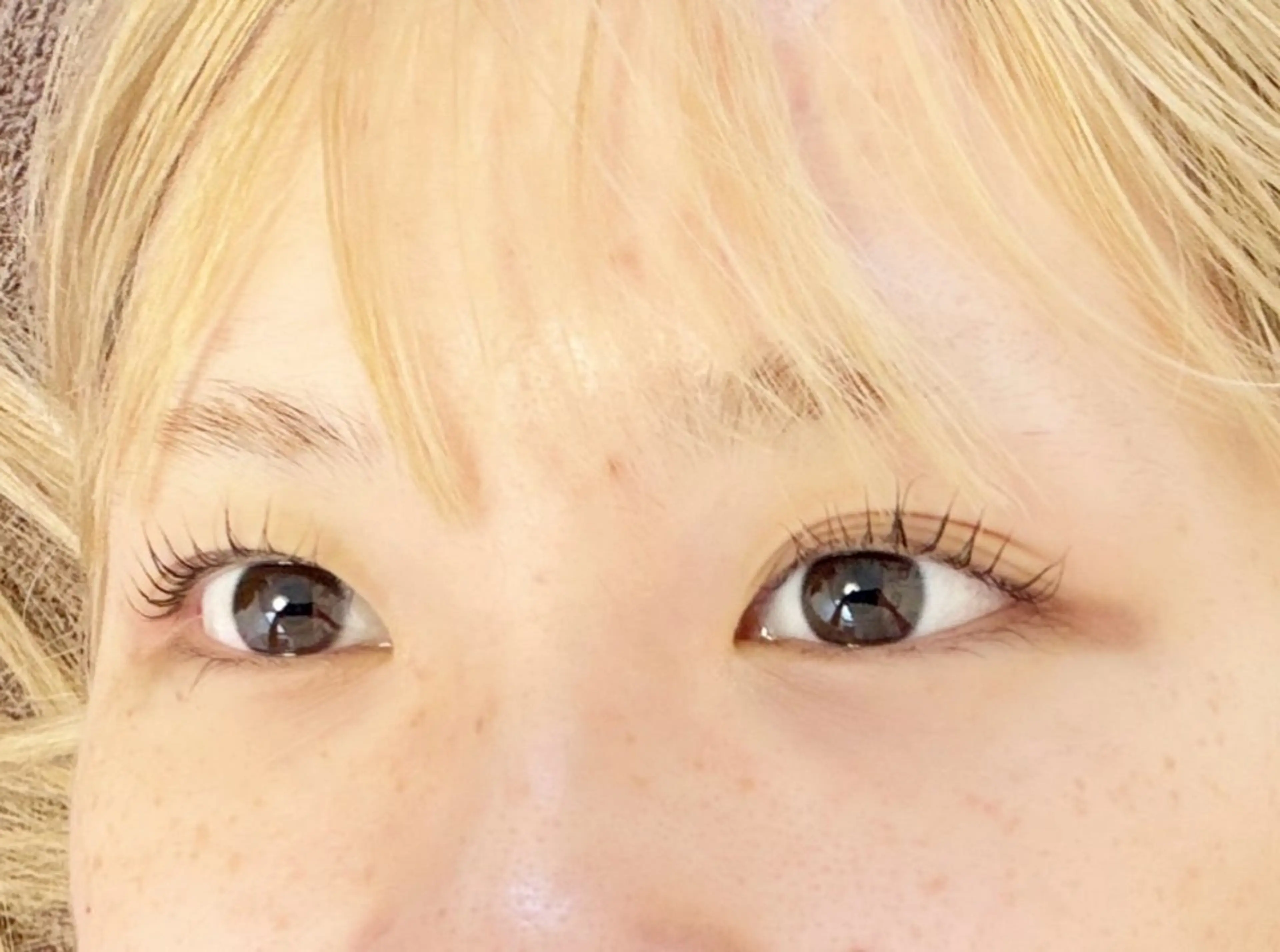 🇰🇷韓国発落ちないカラーティントマスカラ🇰🇷ラッシュリフト&アイシャンプー&トリートメント付き🍭の写真