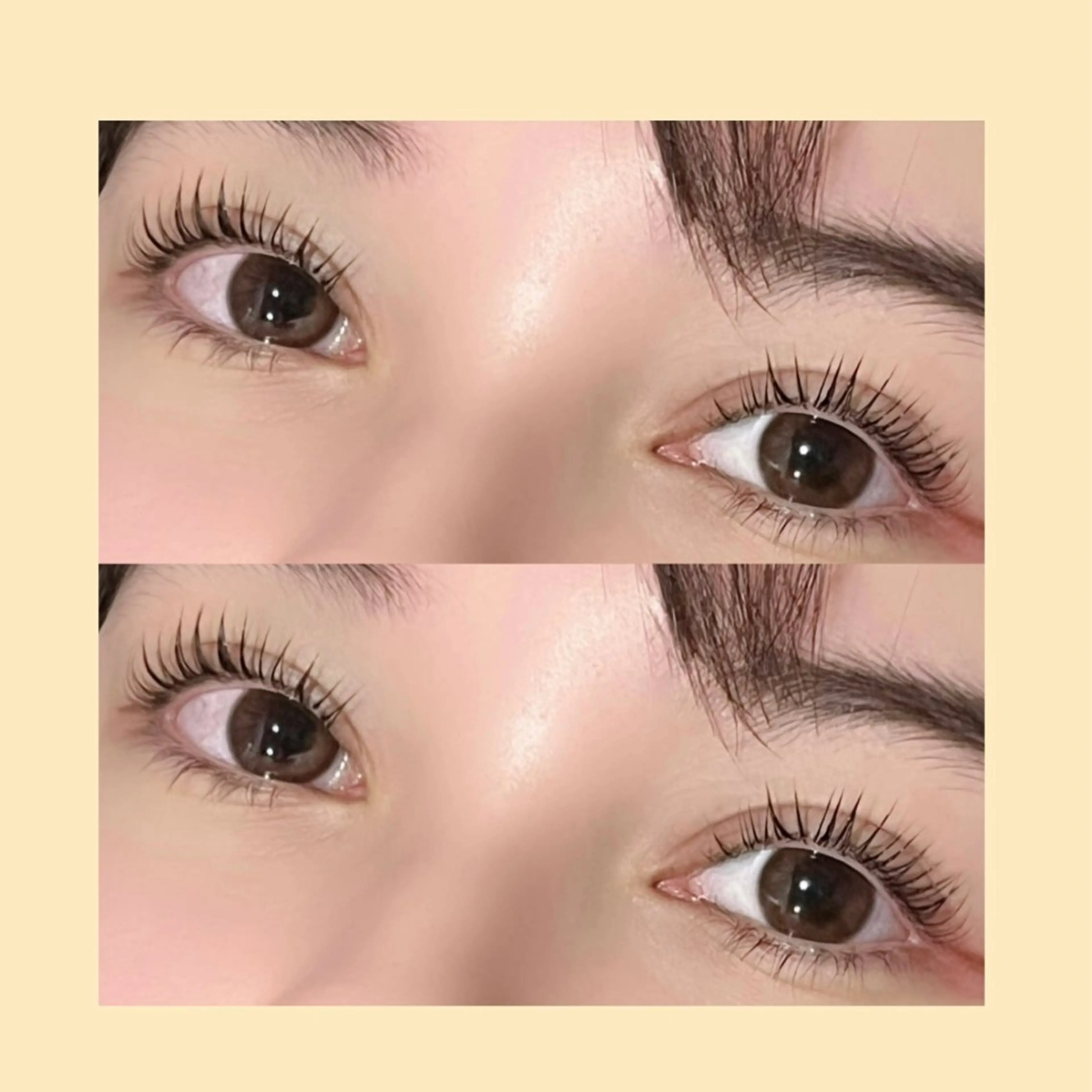 ☆リピーター様専用限定クーポン☆【まつ毛パーマorパリジェンヌ　上のみ】の写真