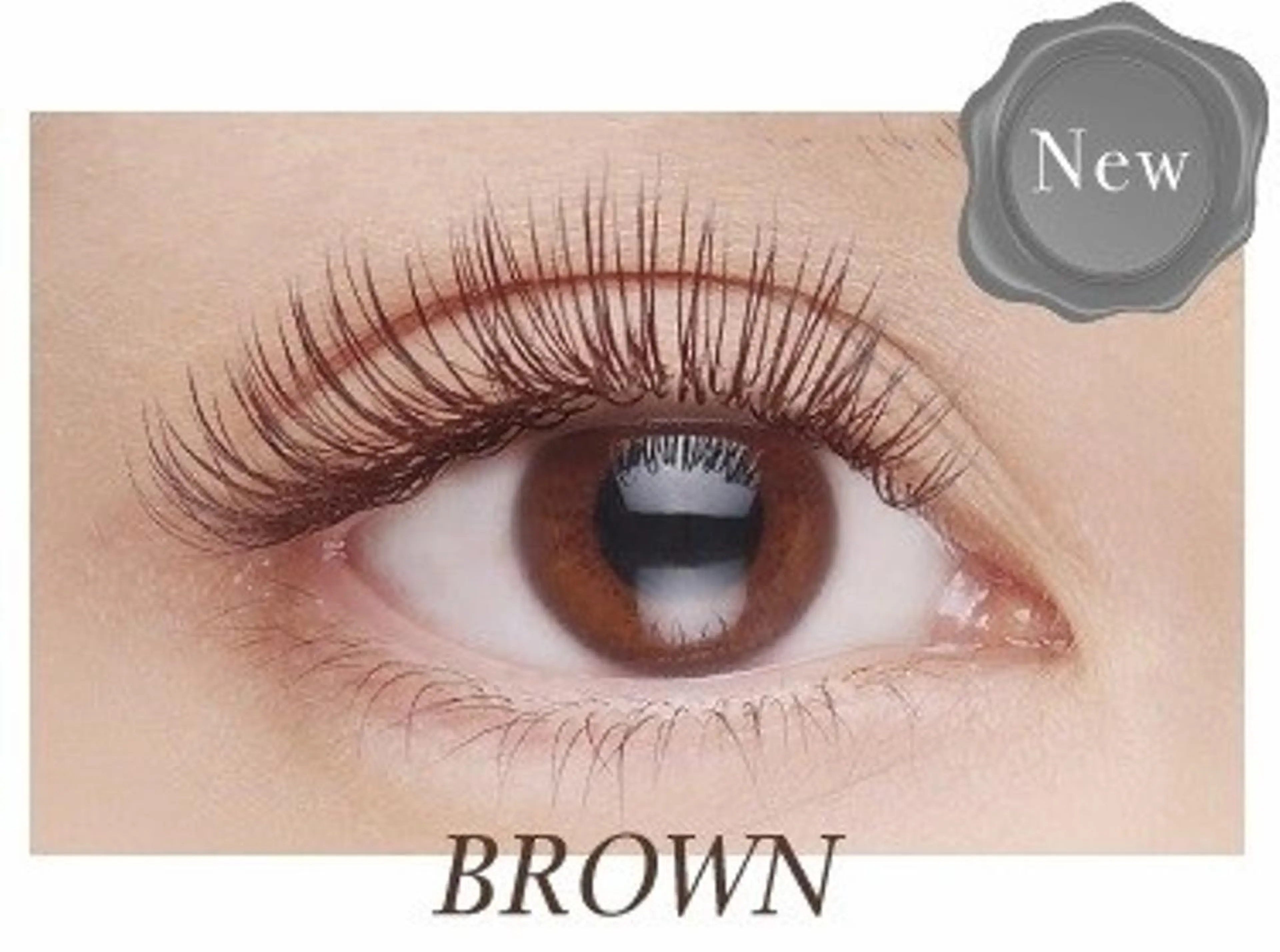 ★ブラウンラッシュ100本の写真