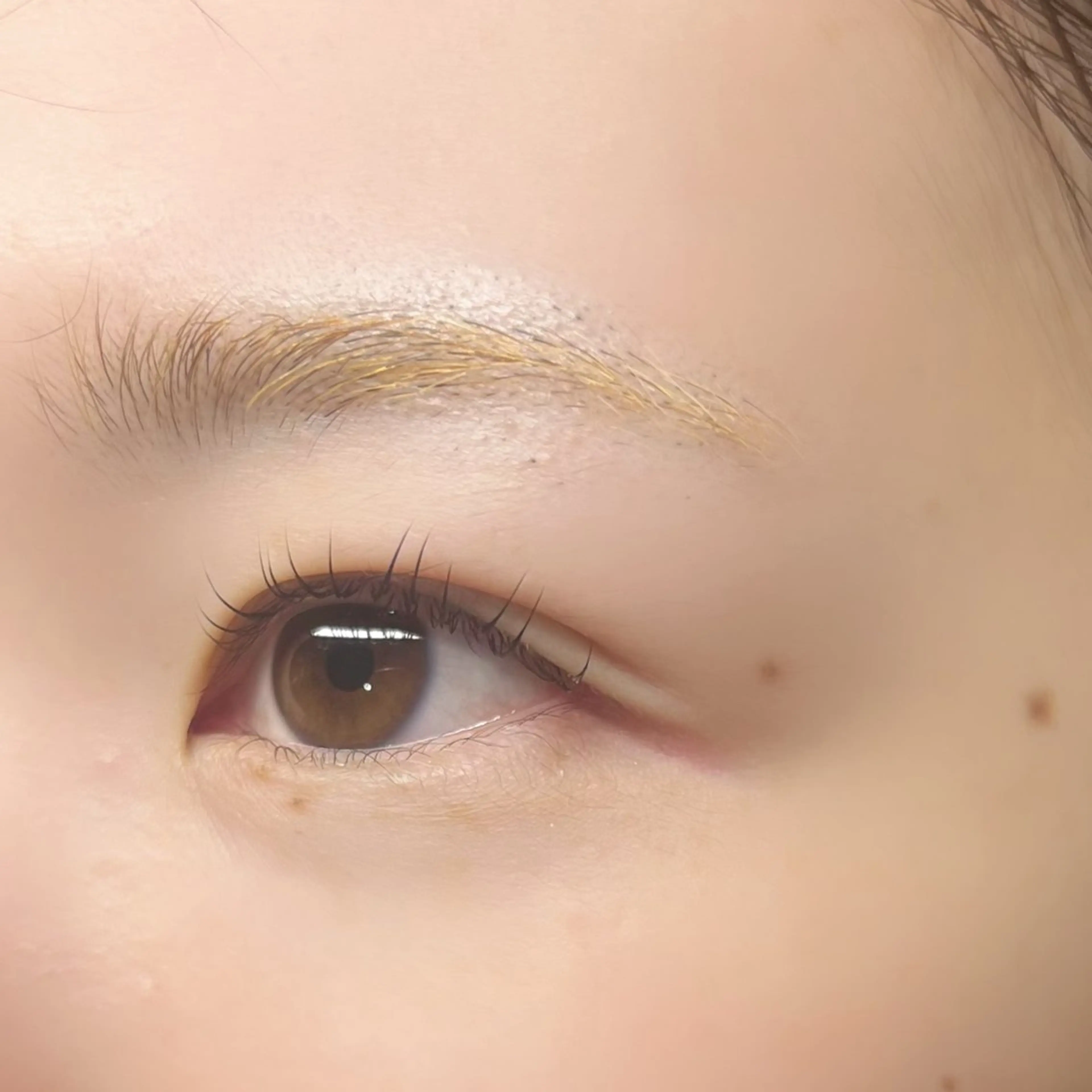 マツエク・マツパ マツパ 🌷eyelash 🌷SAYURIのマツエク・マツパデザイン