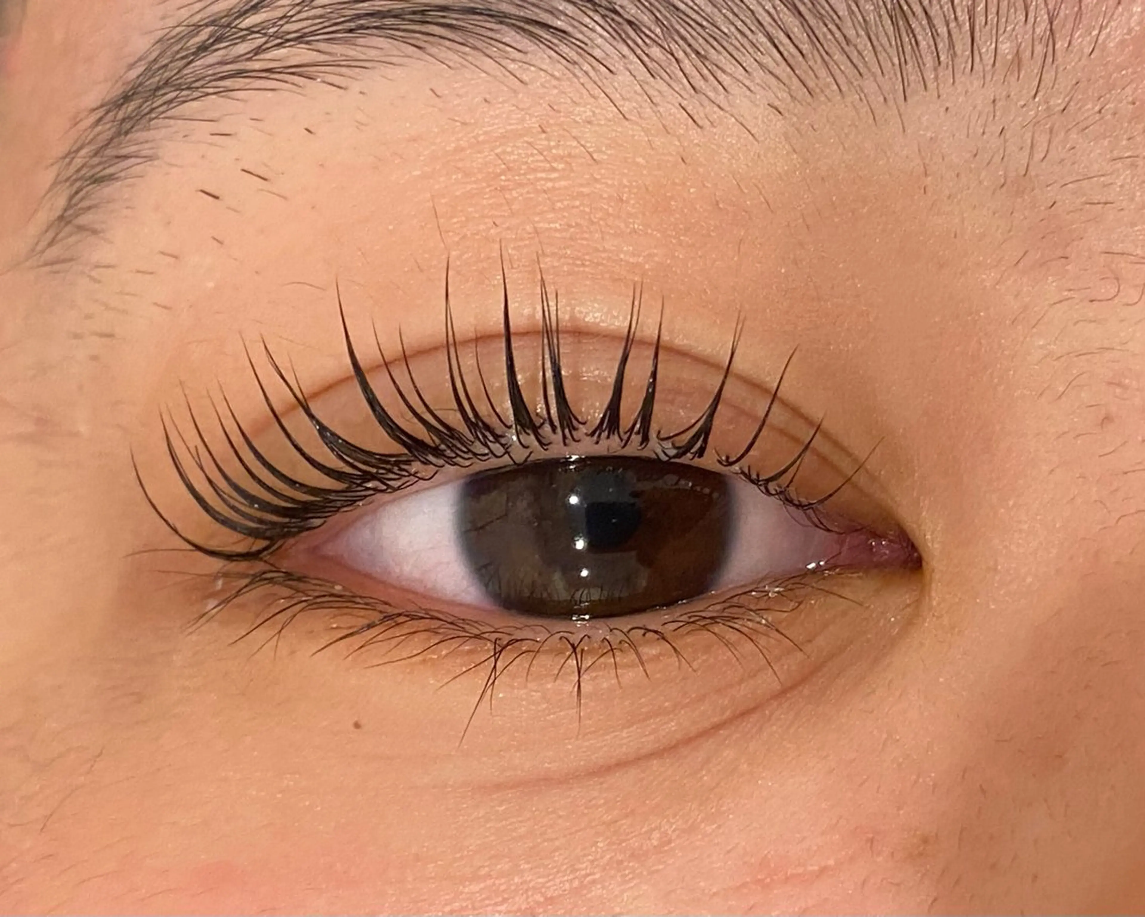 マツエク・マツパ Daisy lash 京橋店堀井のマツエク・マツパデザイン