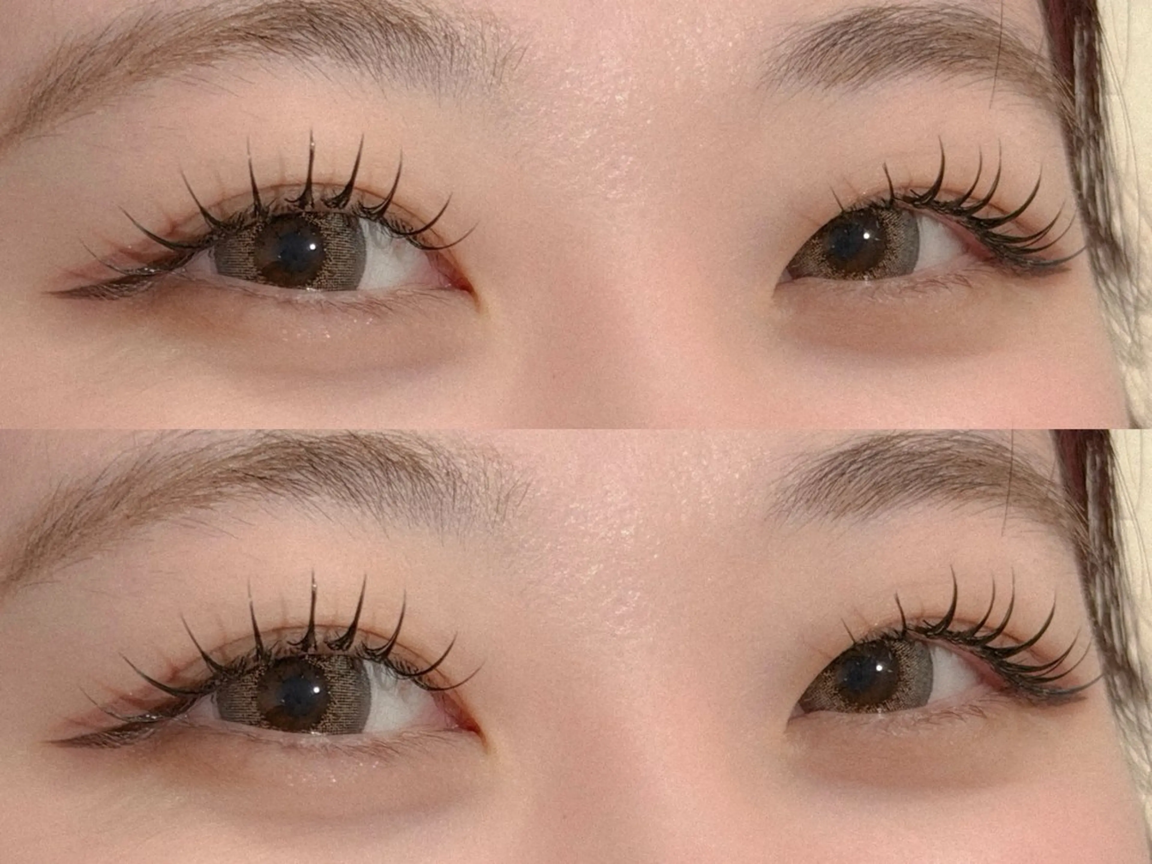 フラットラッシュ 140本の写真