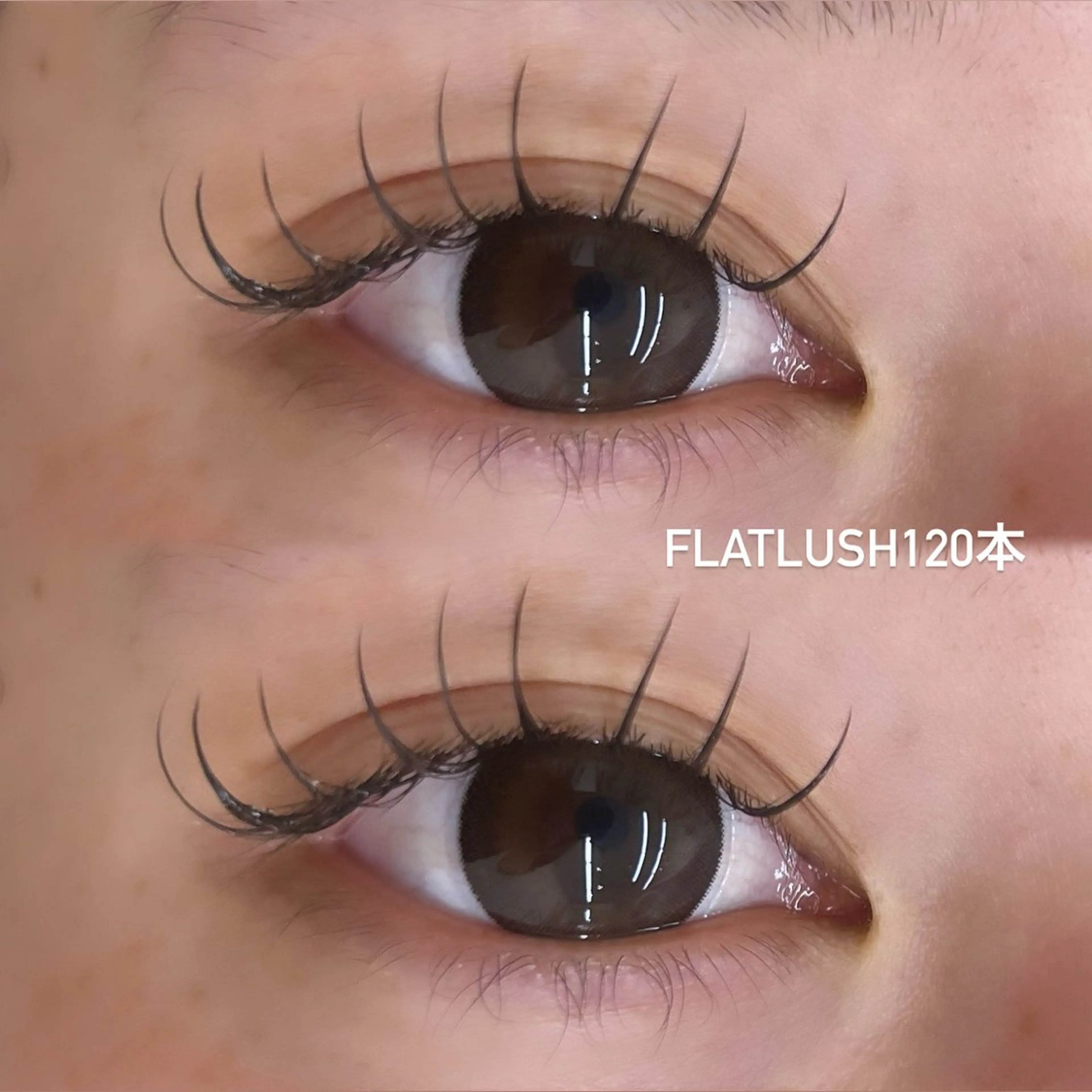フラットラッシュ120本の写真