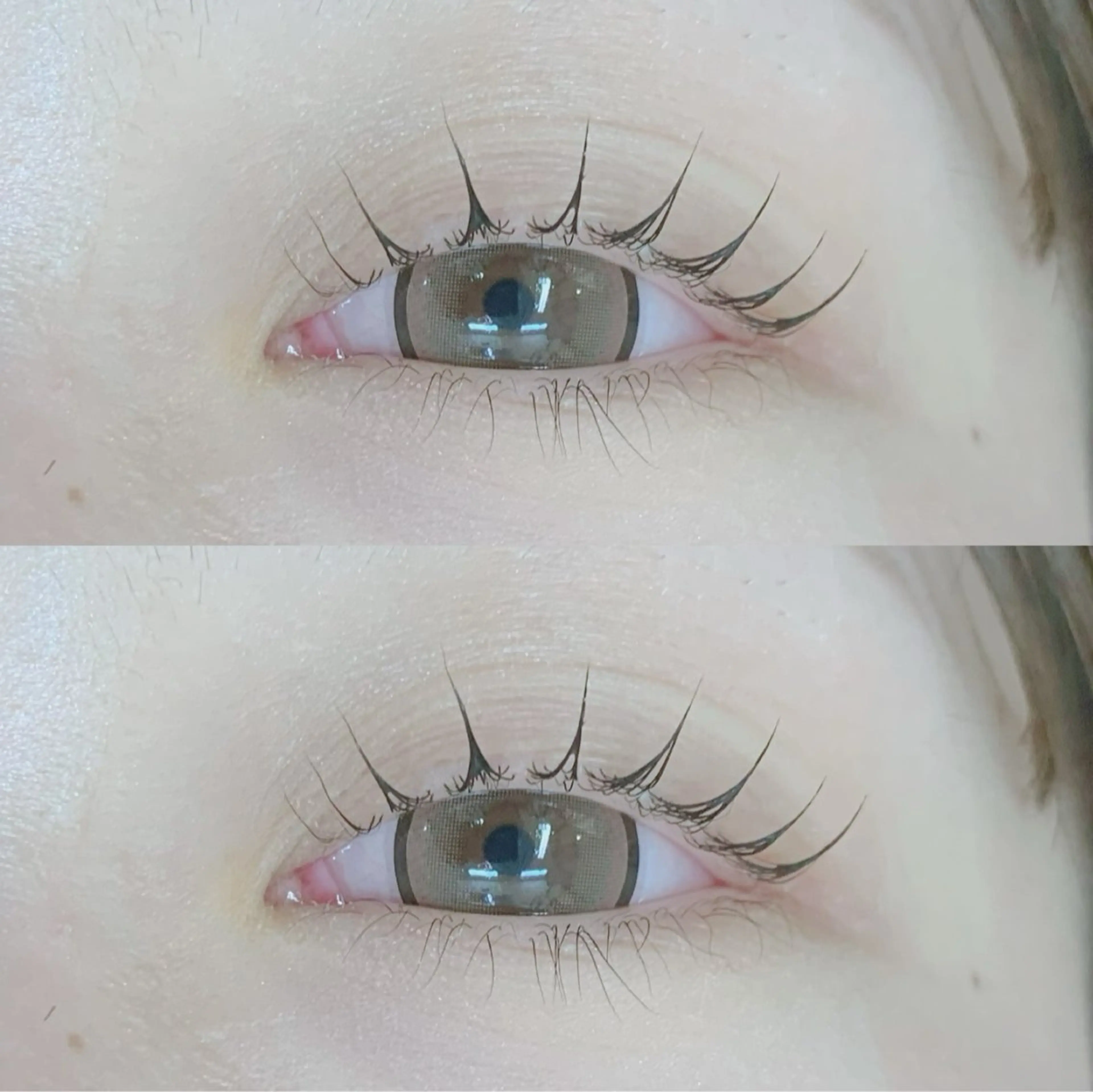 マツエク・マツパ マツパ 🌻TRUTH RINA🌻のマツエク・マツパデザイン