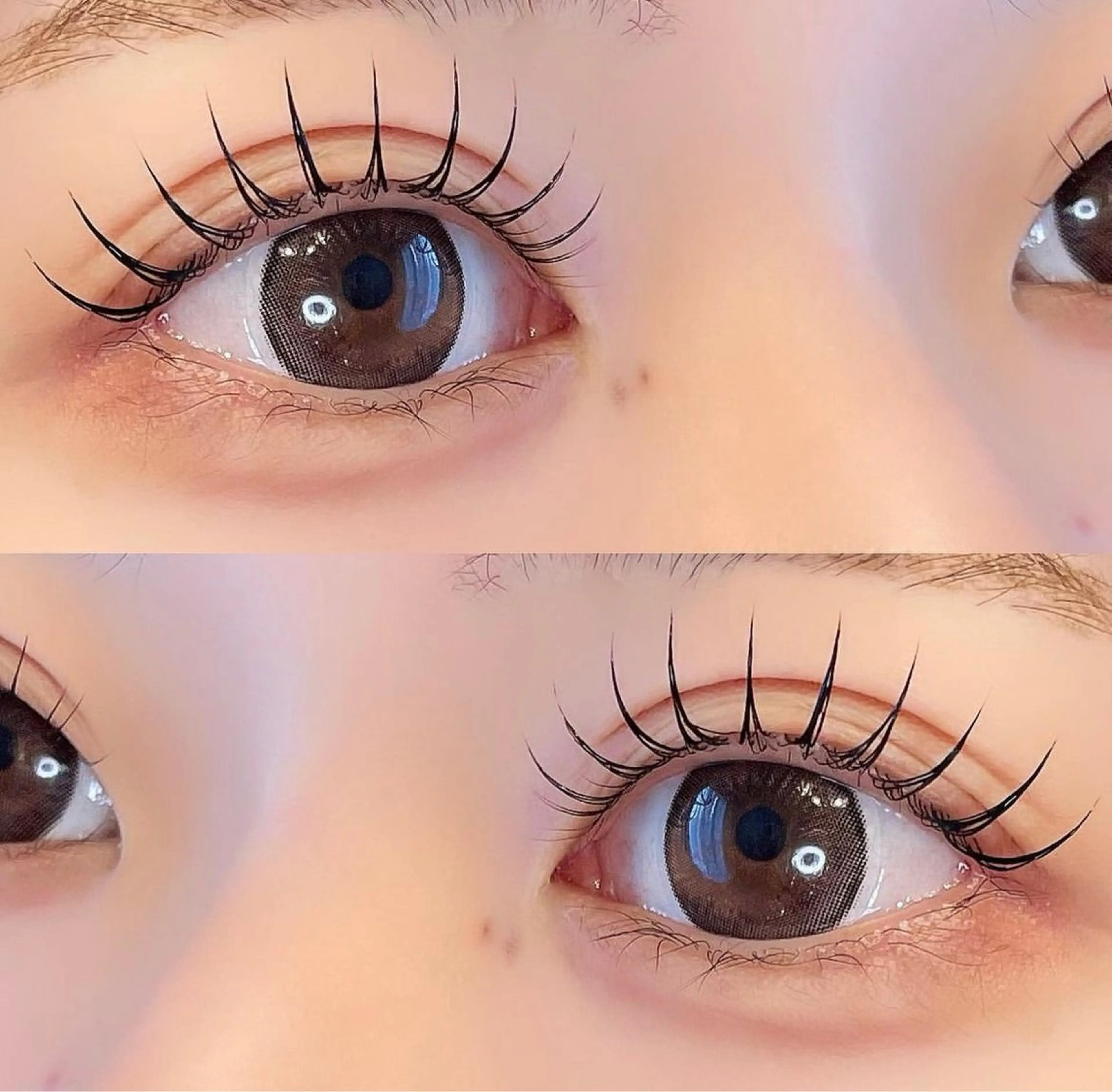 マツエク・マツパ 🌼マリーテレジア 🎀Ｋ.Ｔ🌼のマツエク・マツパデザイン