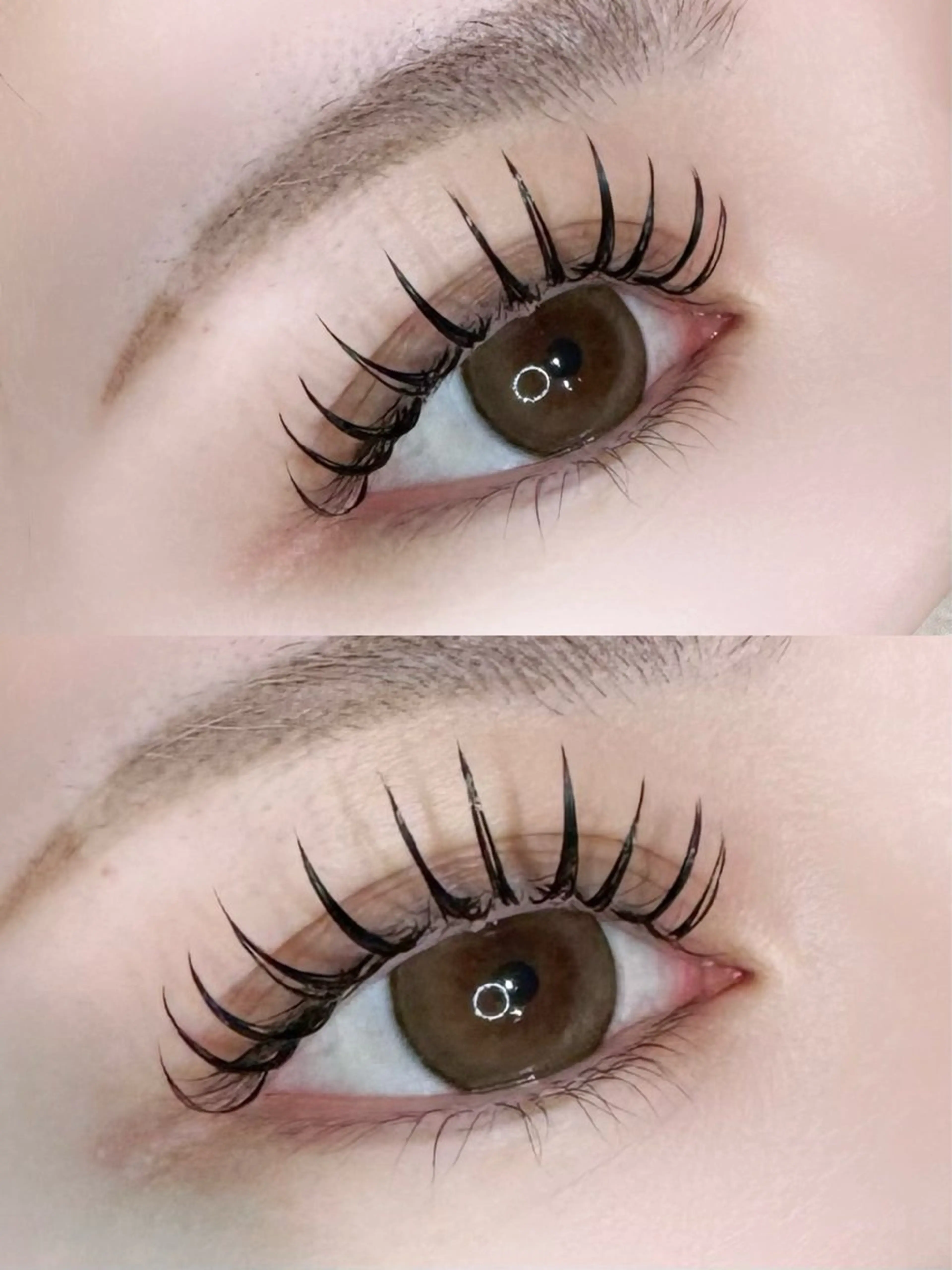 ダブル　flat lash 140束（280本）【他店オフ無料、アイシャンプー、仕上げコーティング付】の写真