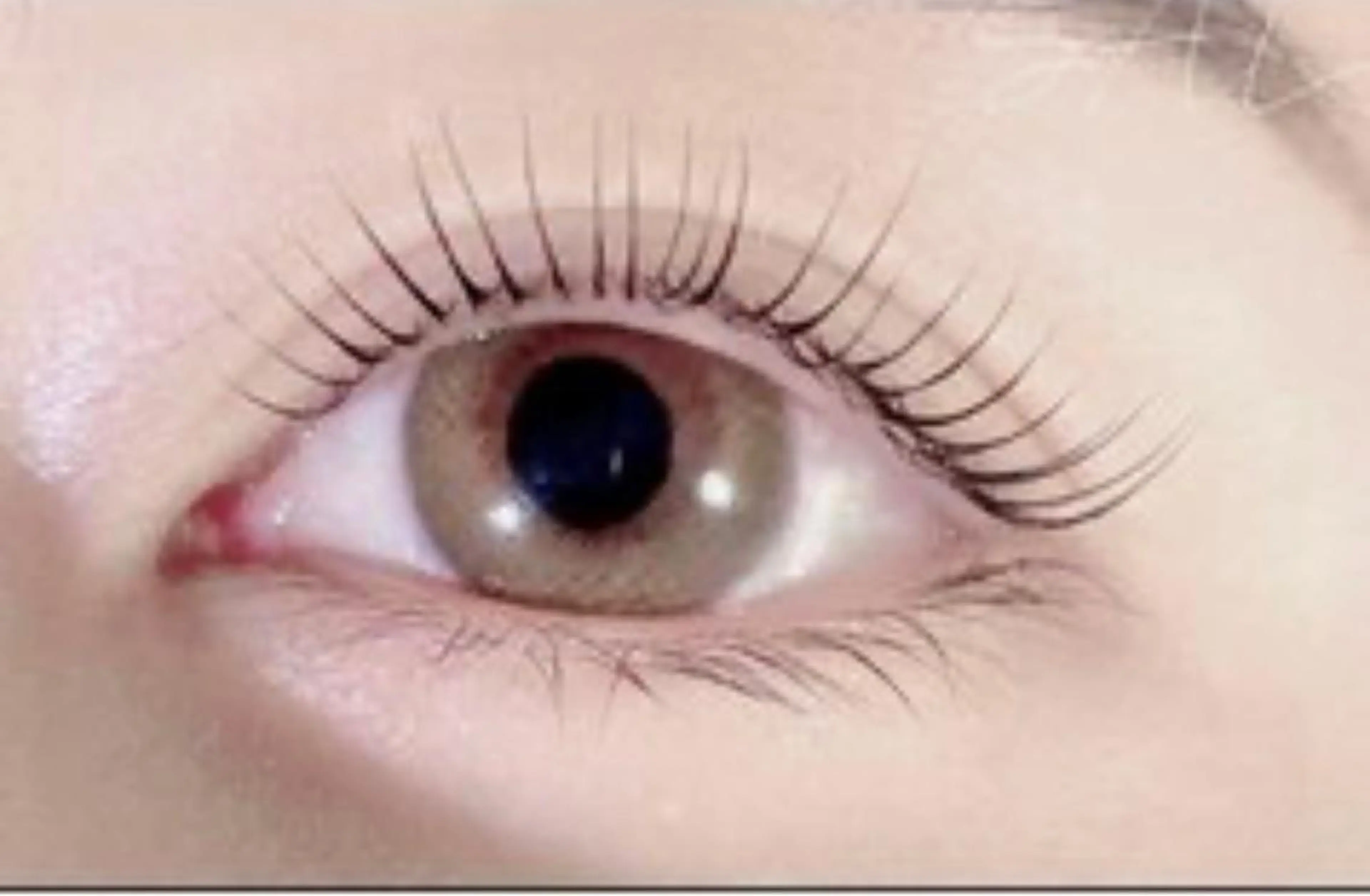 リピーター様専用パリジェンヌ含む次世代まつ毛カール🫧まつ毛パーマ￥5000🤍当日予約OK🩷⚠️の写真