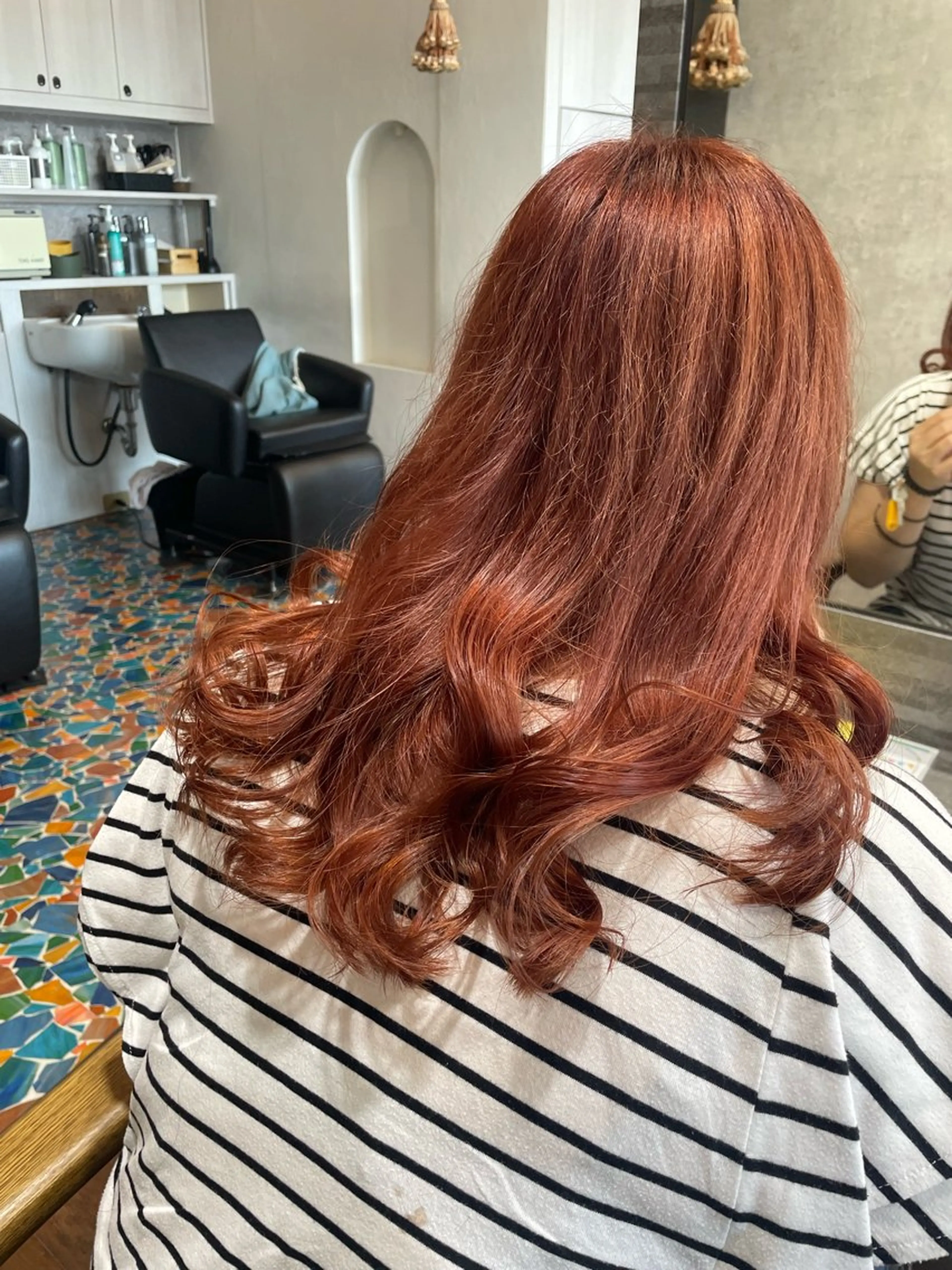 カラー🌈の写真