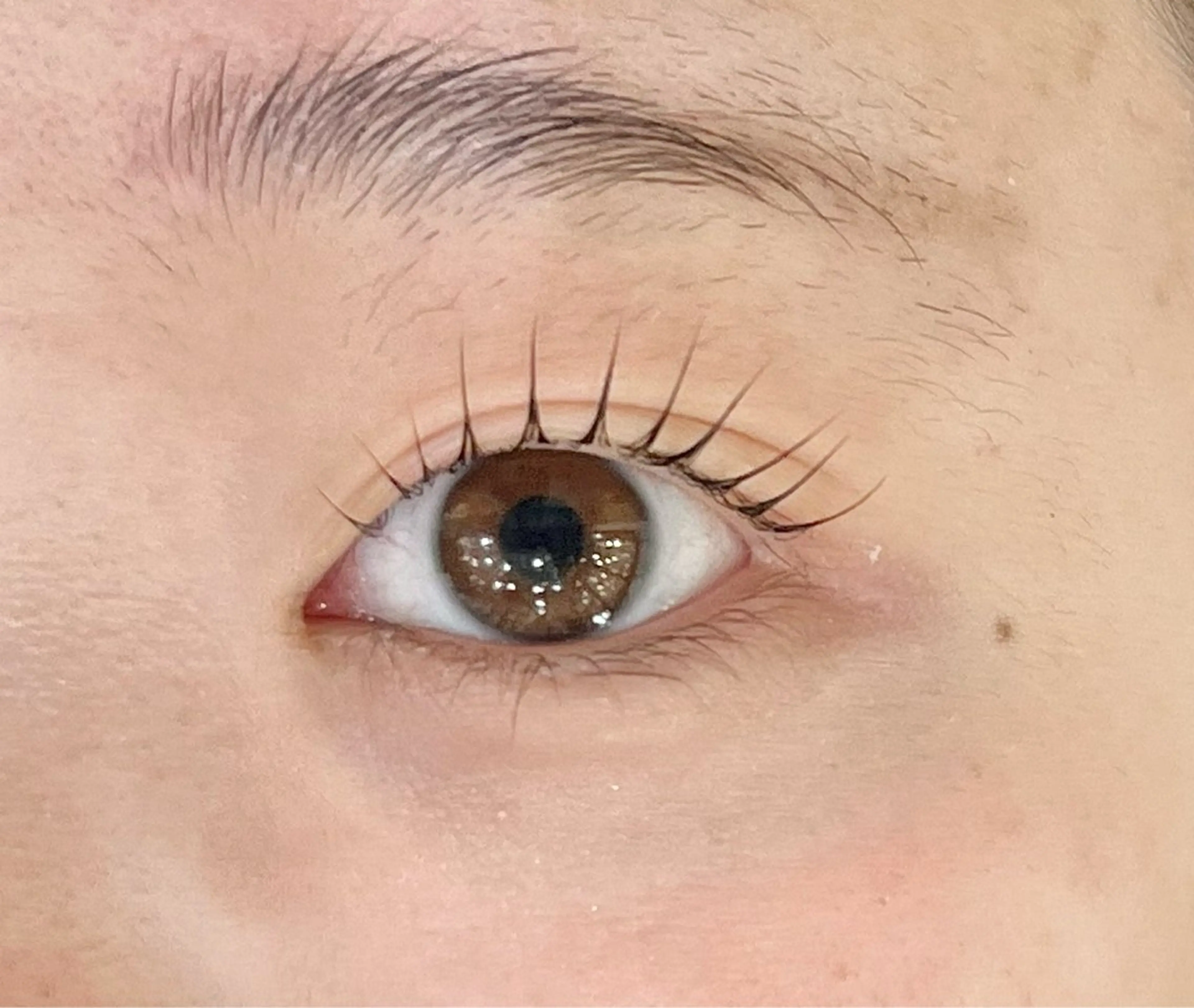 マツエク・マツパ eyeHbe TERAのマツエク・マツパデザイン