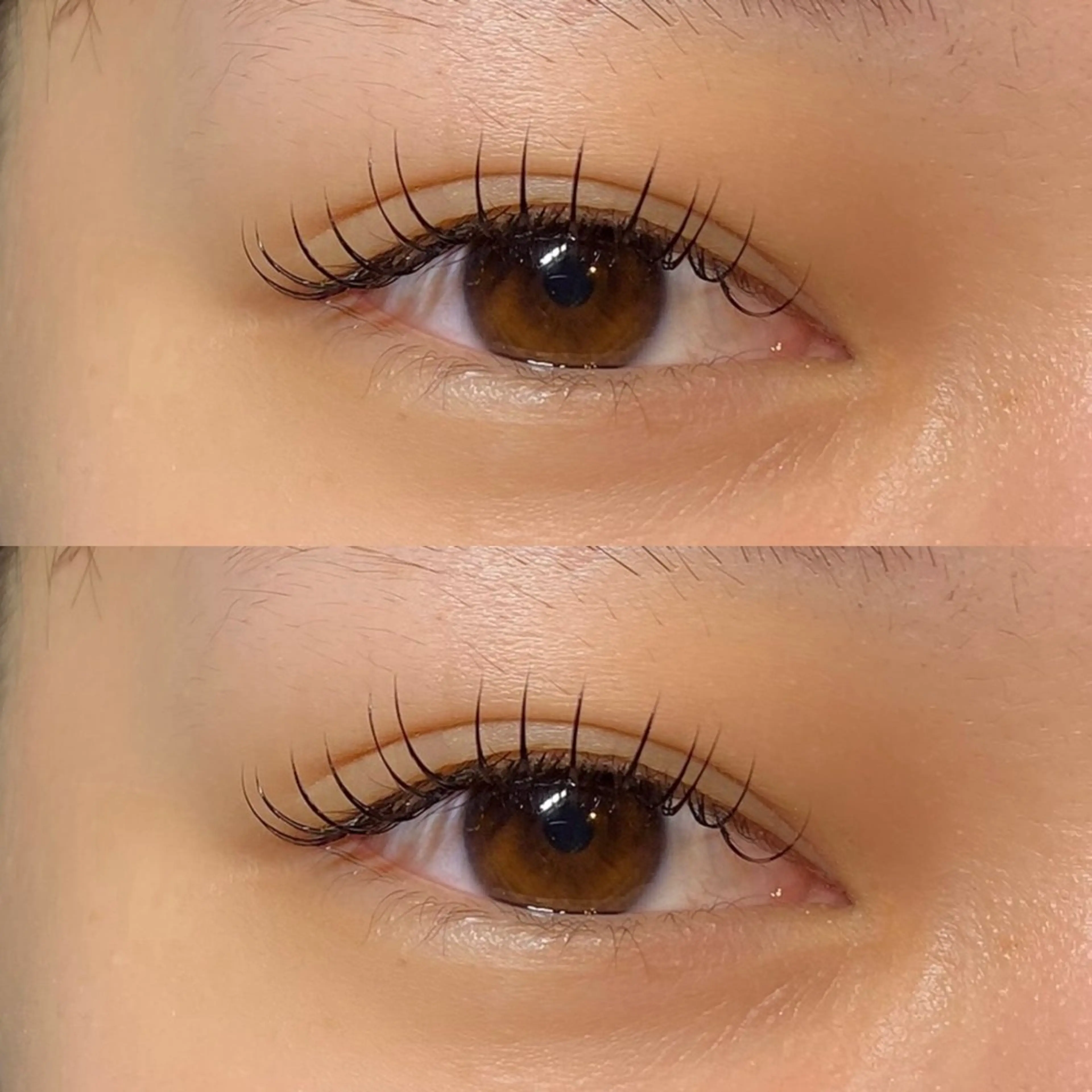 フラットラッシュ80~100本 🌟の写真