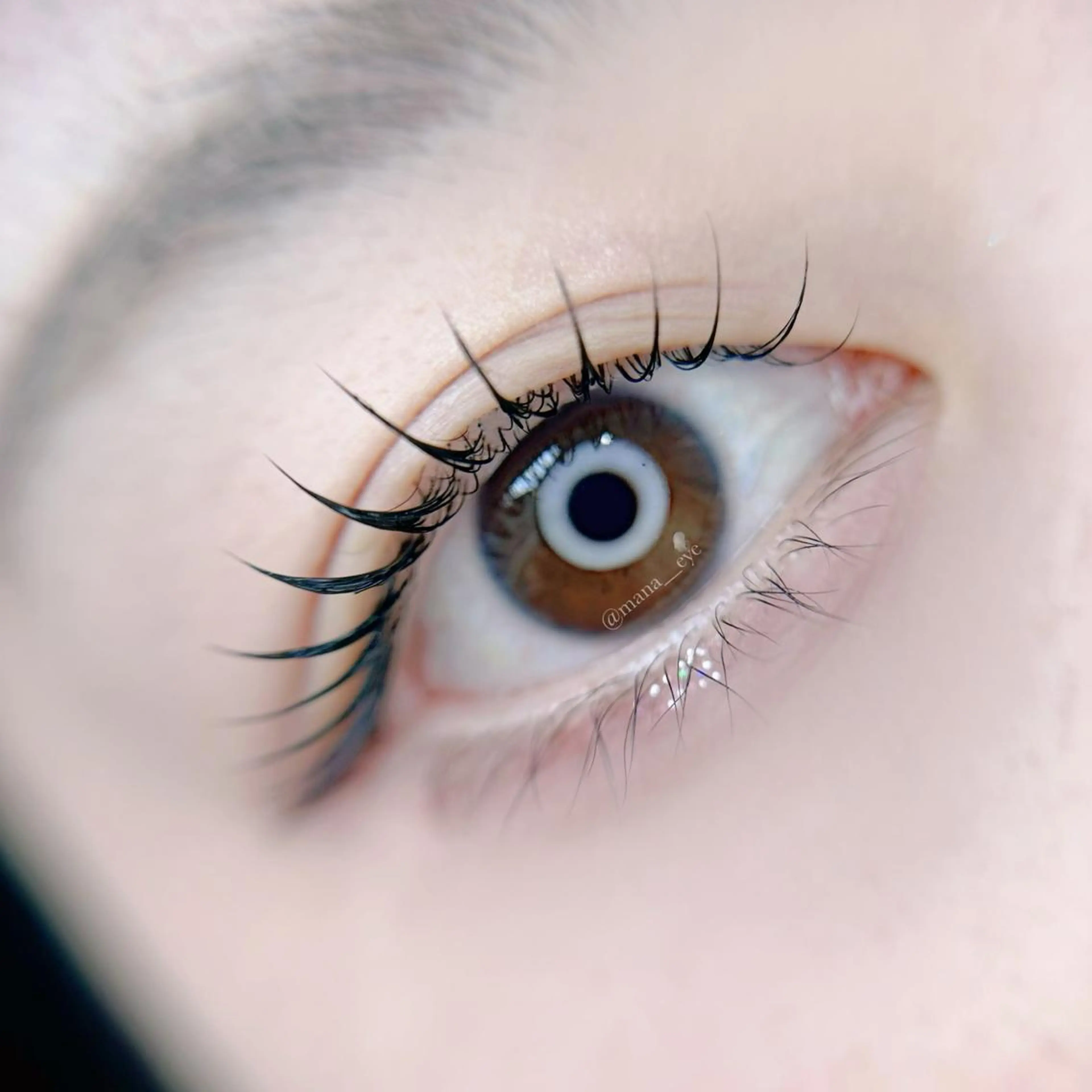 🩶まつげパーマ(上) ¥5000の写真