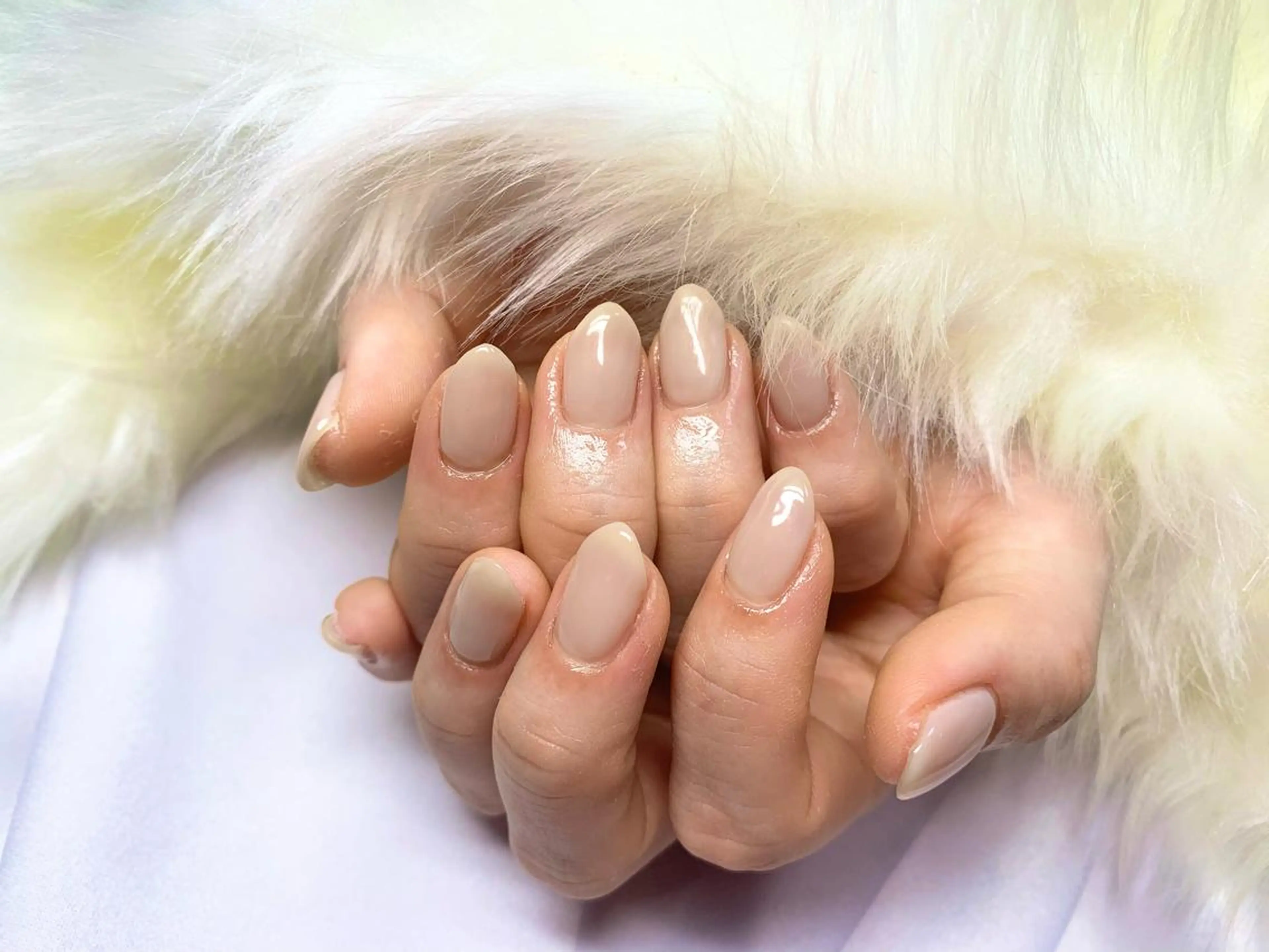 ネイル オフィスネイル ハンドネイル 痩身/脱毛/ネイル HARUKAのエステ・リラクイメージ