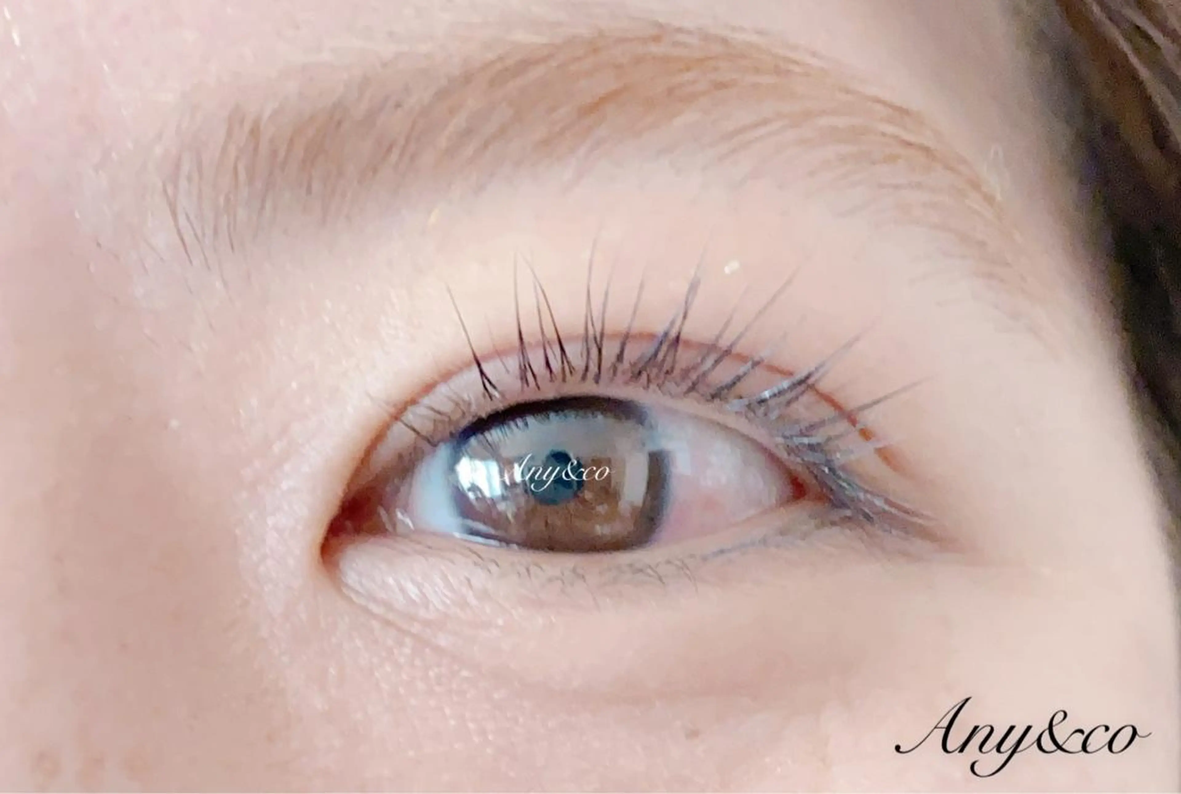 マツエク・マツパ アイリッドアップパーマ Any&co 【エニコ】のマツエク・マツパデザイン