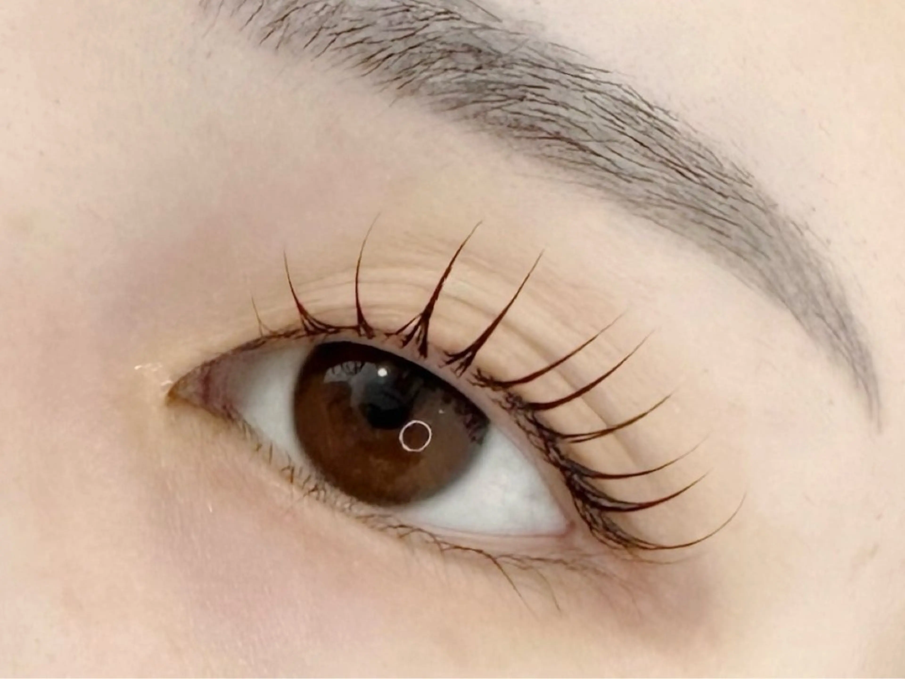 マツエク・マツパ grey京橋/ 池田のマツエク・マツパデザイン