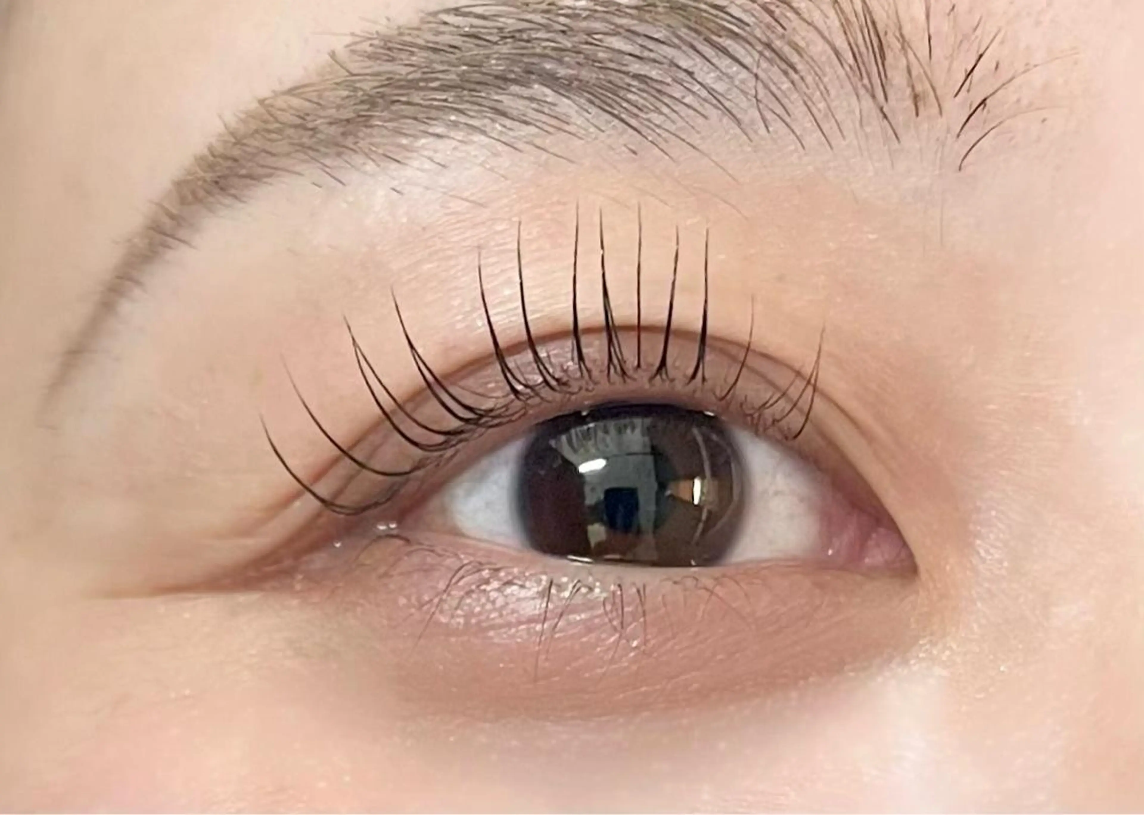 マツエク・マツパ パリジェンヌラッシュリフト Favori 山下のマツエク・マツパデザイン