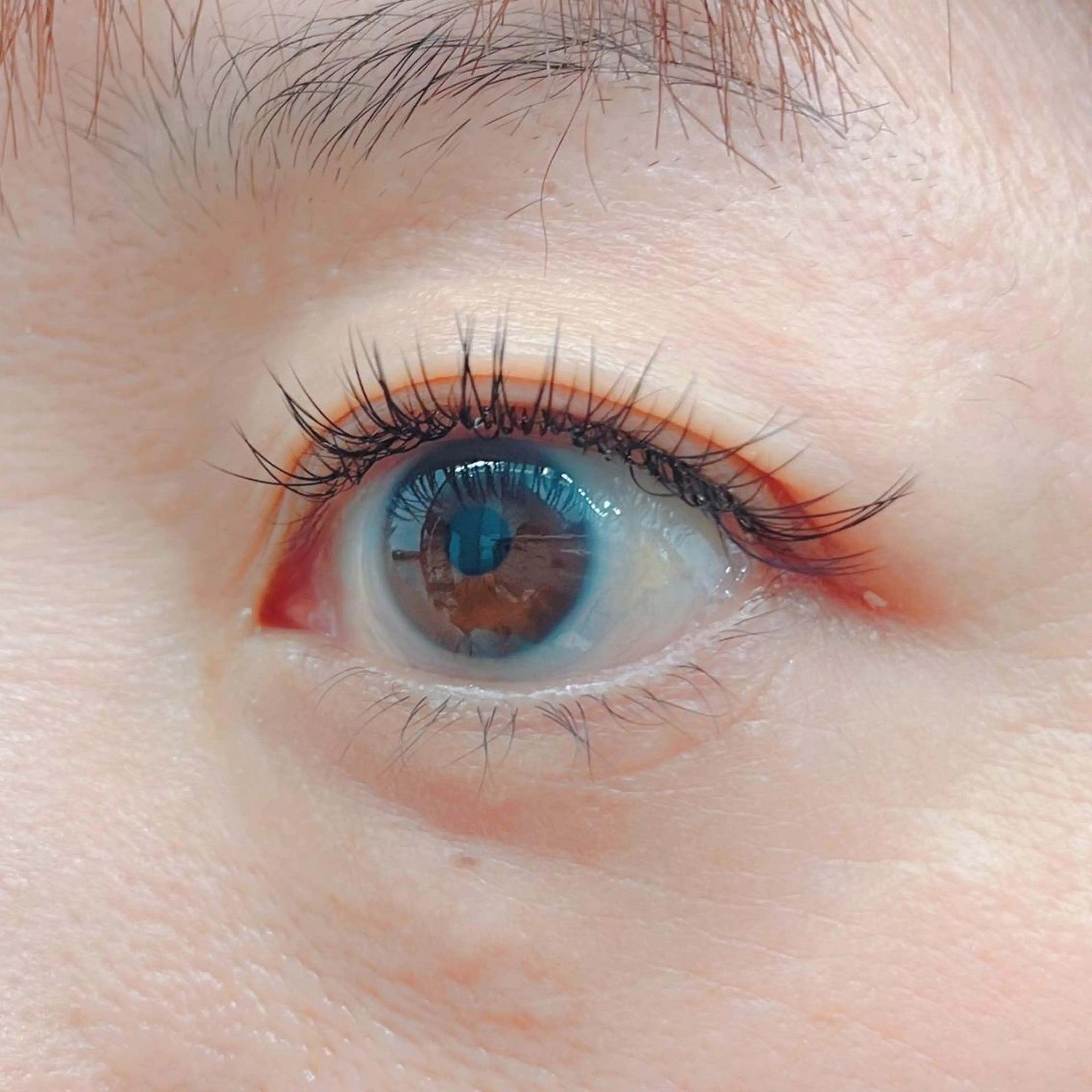 マツエク・マツパ Cカール blanca🌺 mayu(東白楽)のマツエク・マツパデザイン