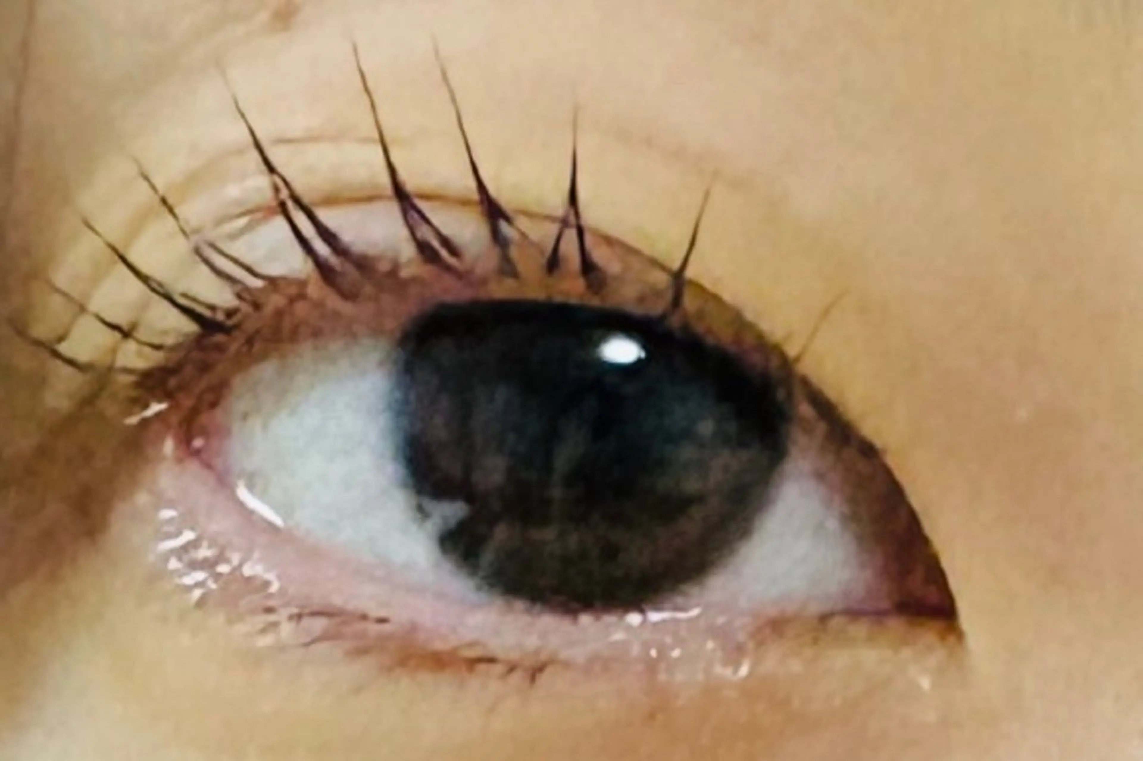 マツエク・マツパ kico.co salon ユキのマツエク・マツパデザイン