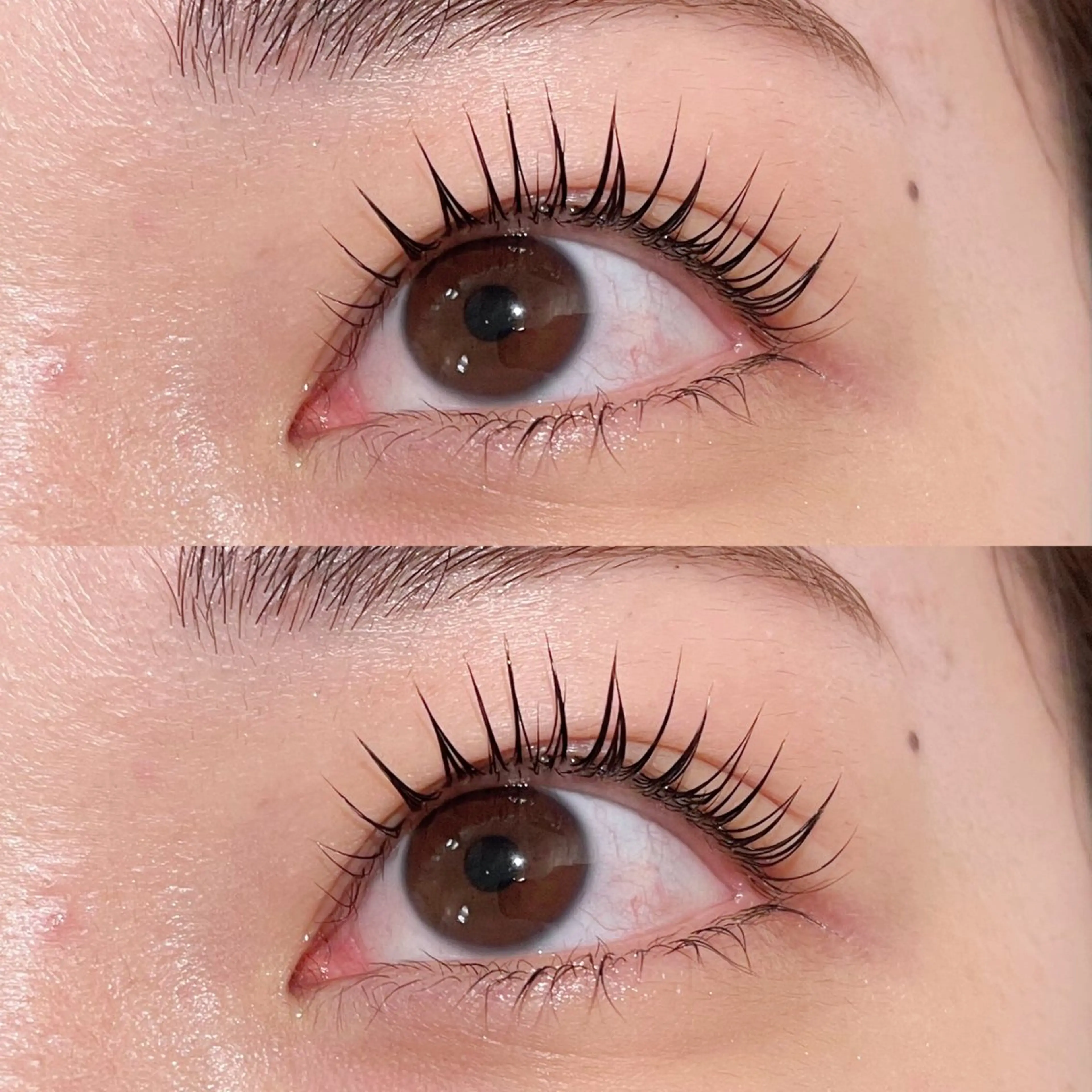 マツエク・マツパ re-born konomi 産休中のマツエク・マツパデザイン