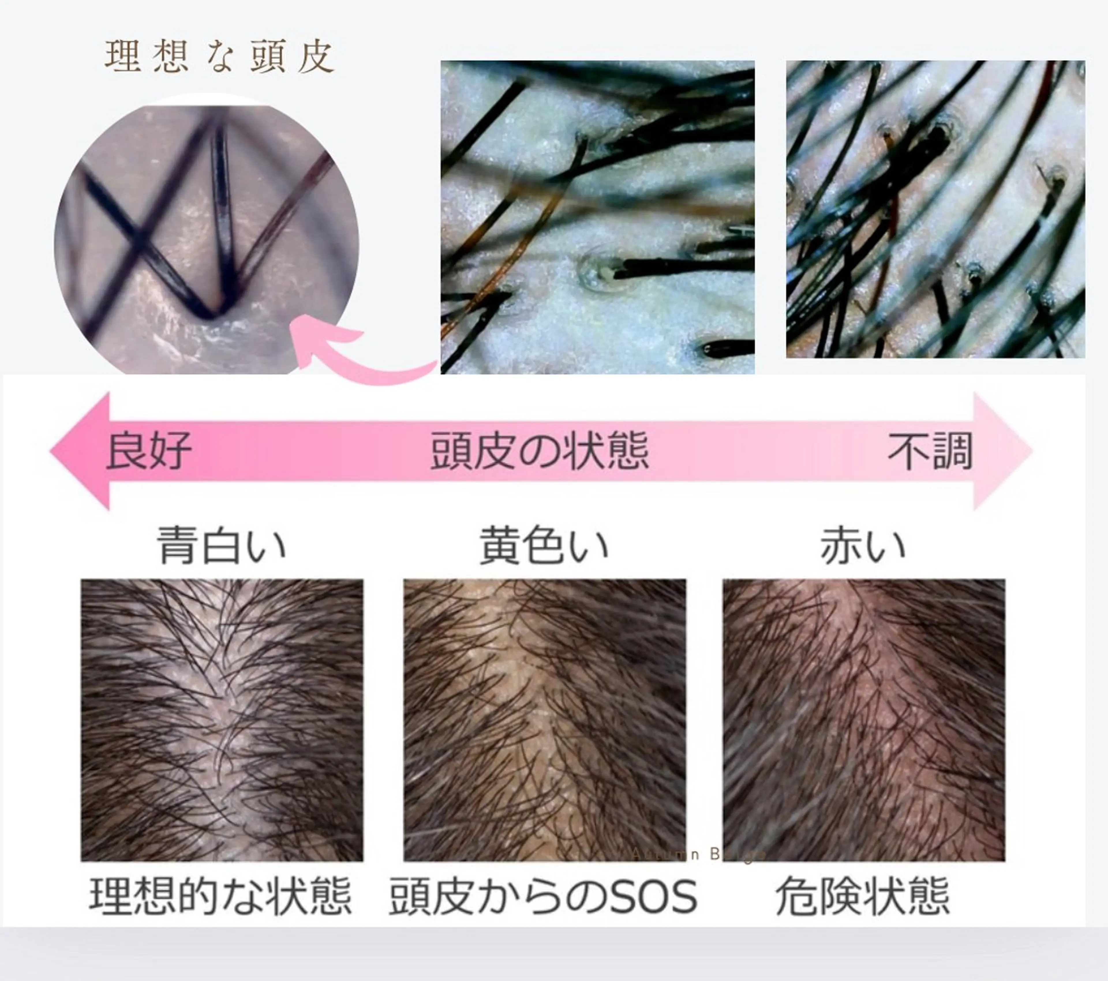 .. monpaのヘアスタイル
