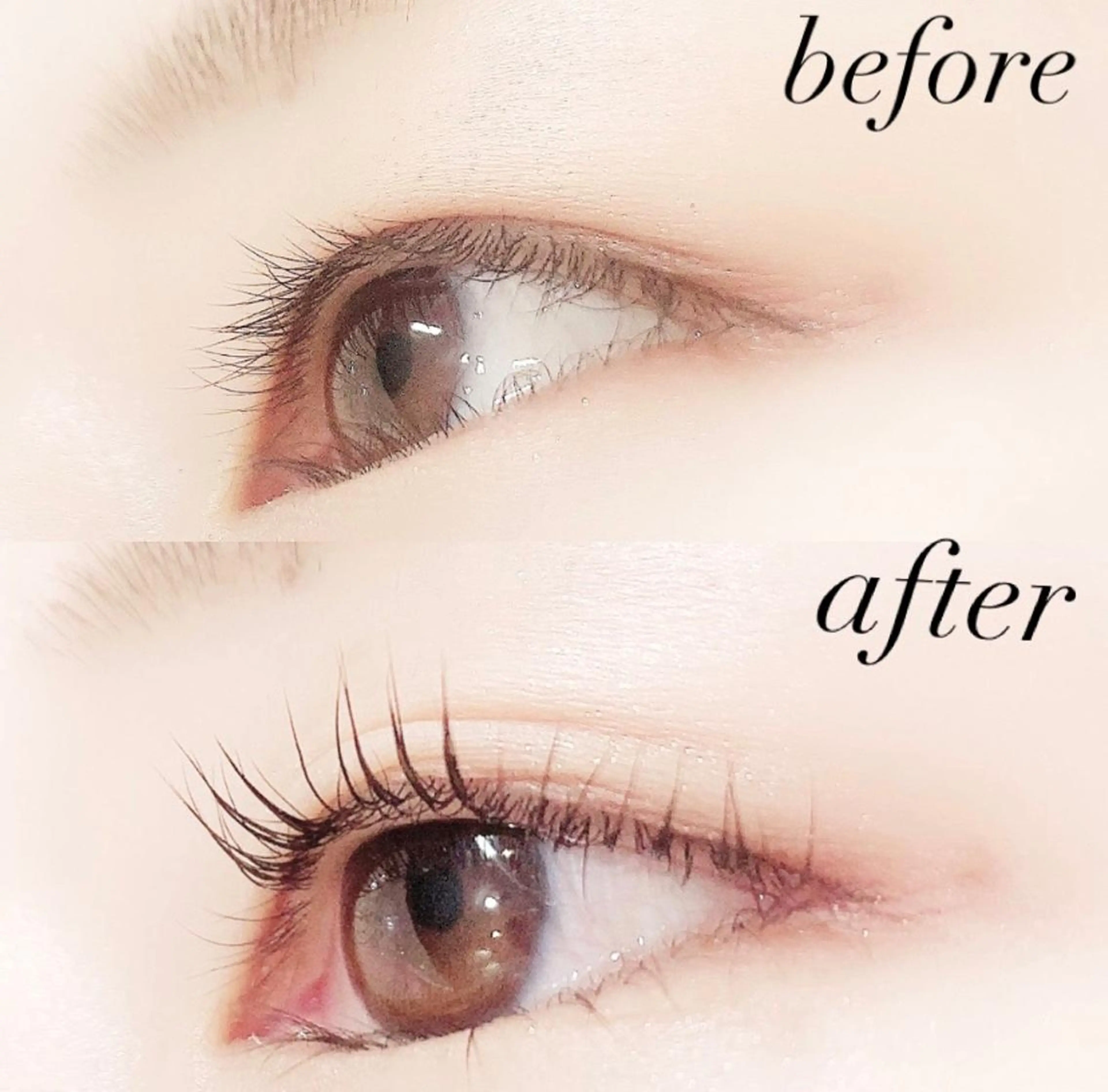 マツエク・マツパ まつげパーマ Lanhr所属・【Lanhr】 🕊aya🕊のマツエク・マツパデザイン