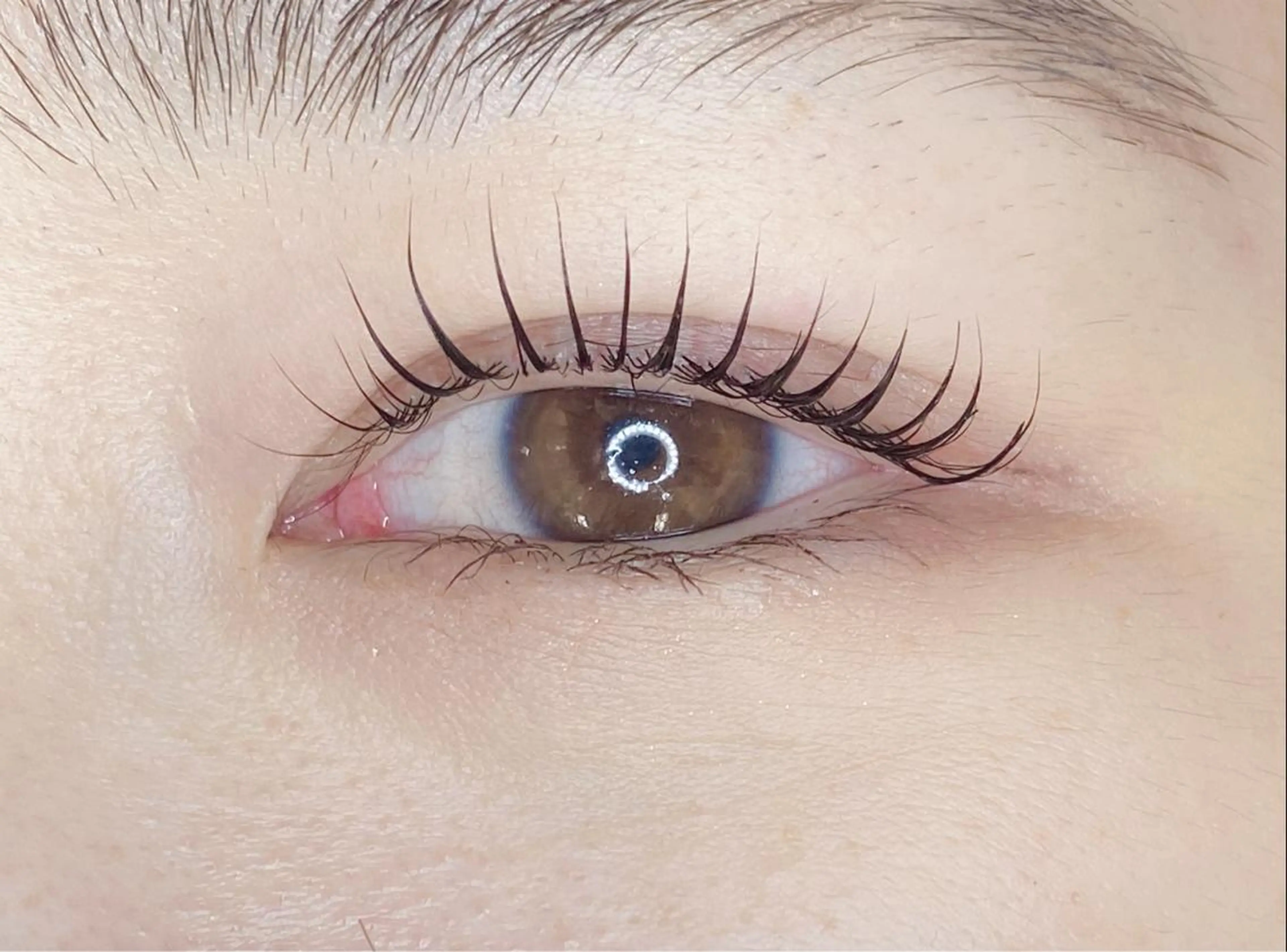 ✨ご新規様限定✨3種類から選べるラッシュリフト（まつ毛パーマ）束感コーティング付！の写真