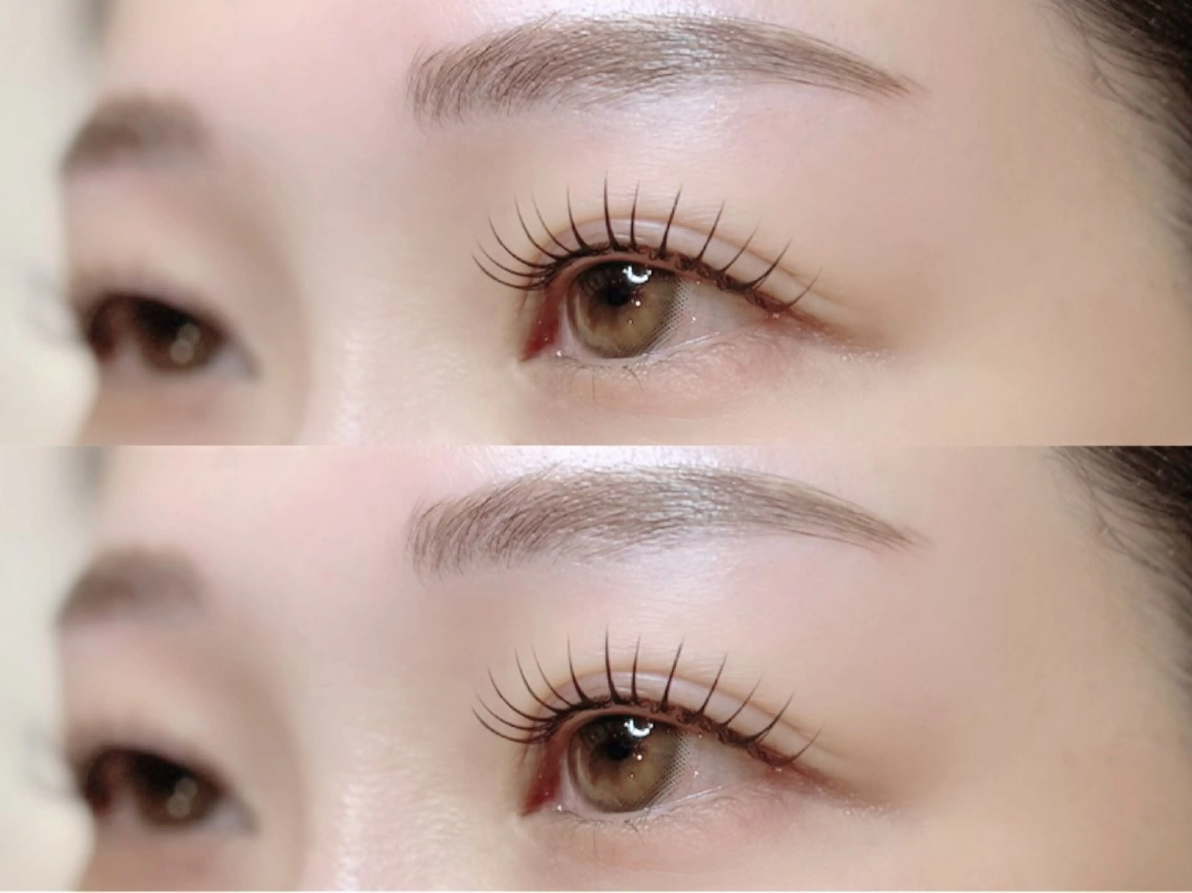 LEDエクステ100本まで♡美容液コーティング付の写真