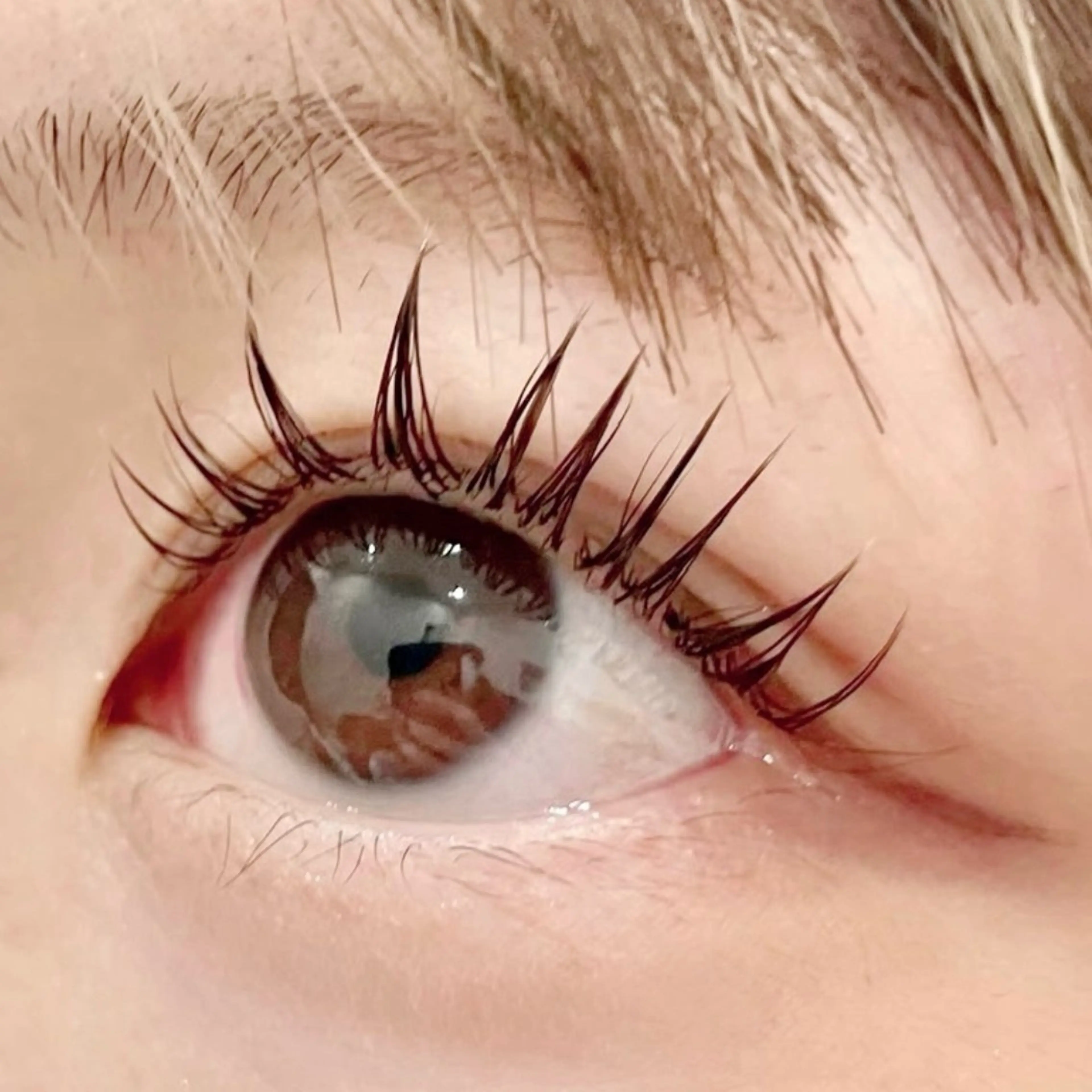 初めてご来店の方🌷マツエク100本まで+コーティング付き☆¥6050▷▶¥3300(税込み)の写真