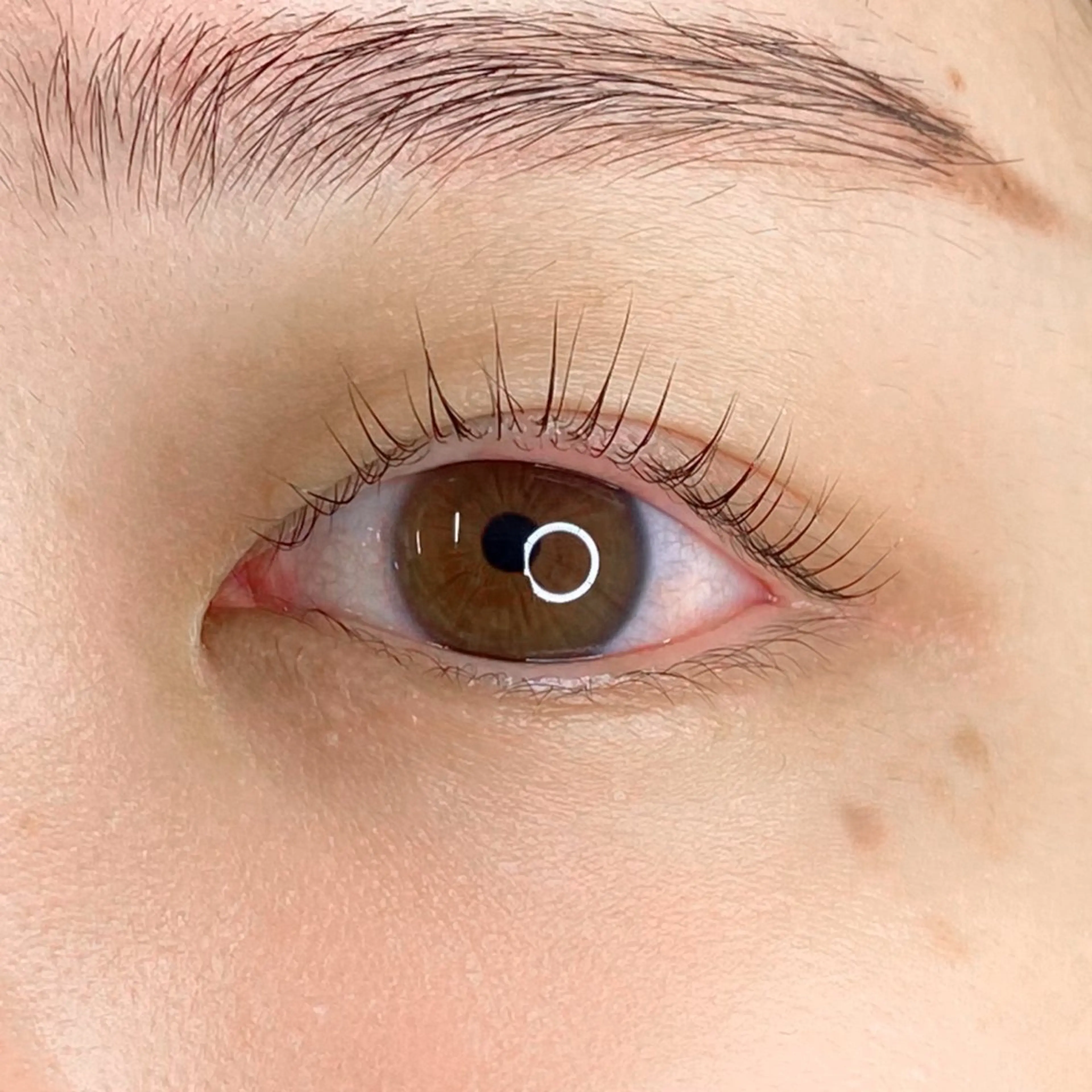 マツエク・マツパ まつげパーマ 一重×まつ毛パーマ マツパ U too e's MANAE🌼の眉毛・アイブロウイメージ