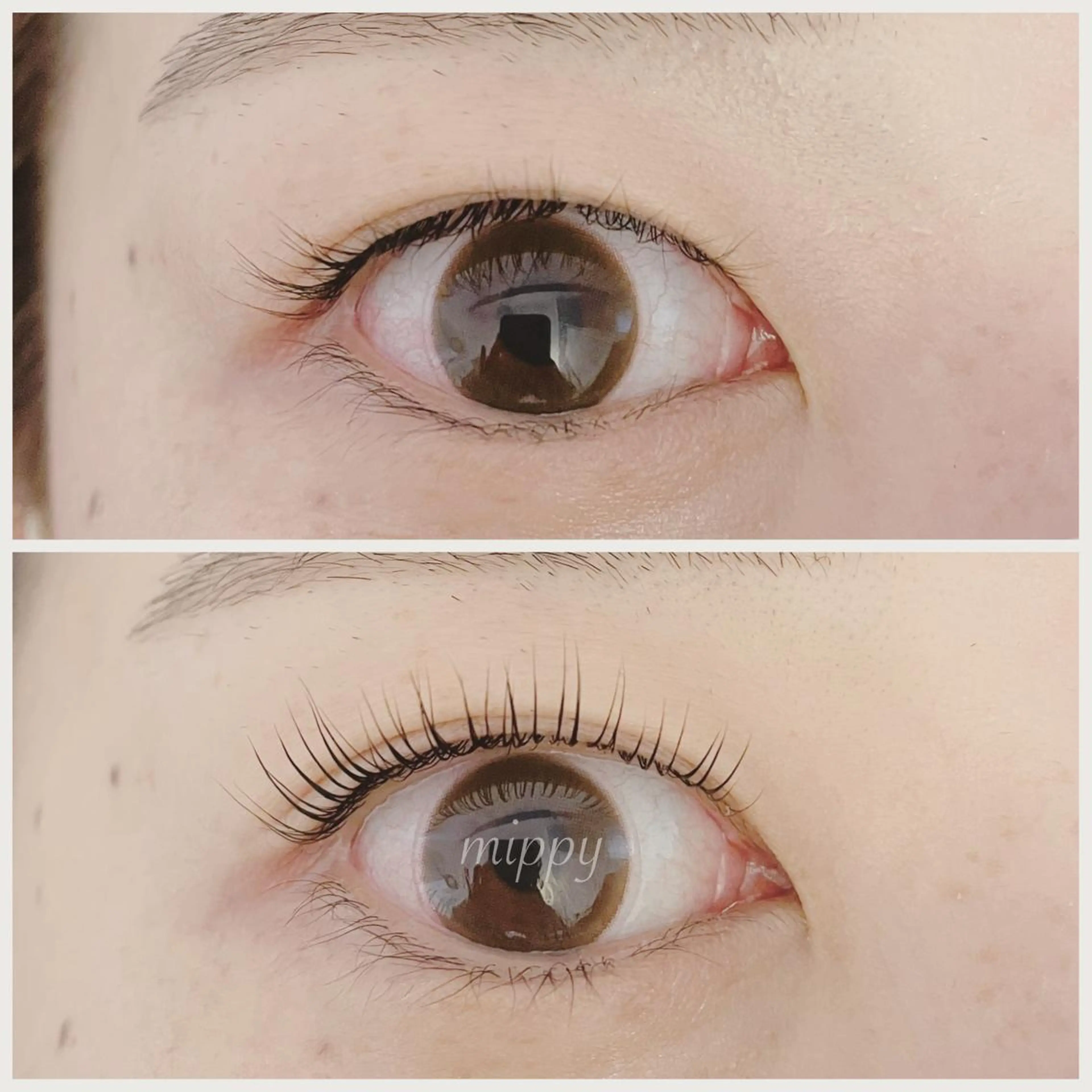 マツエク・マツパ パリジェンヌラッシュリフト ｍｉｐｐｙ 🪽のマツエク・マツパデザイン