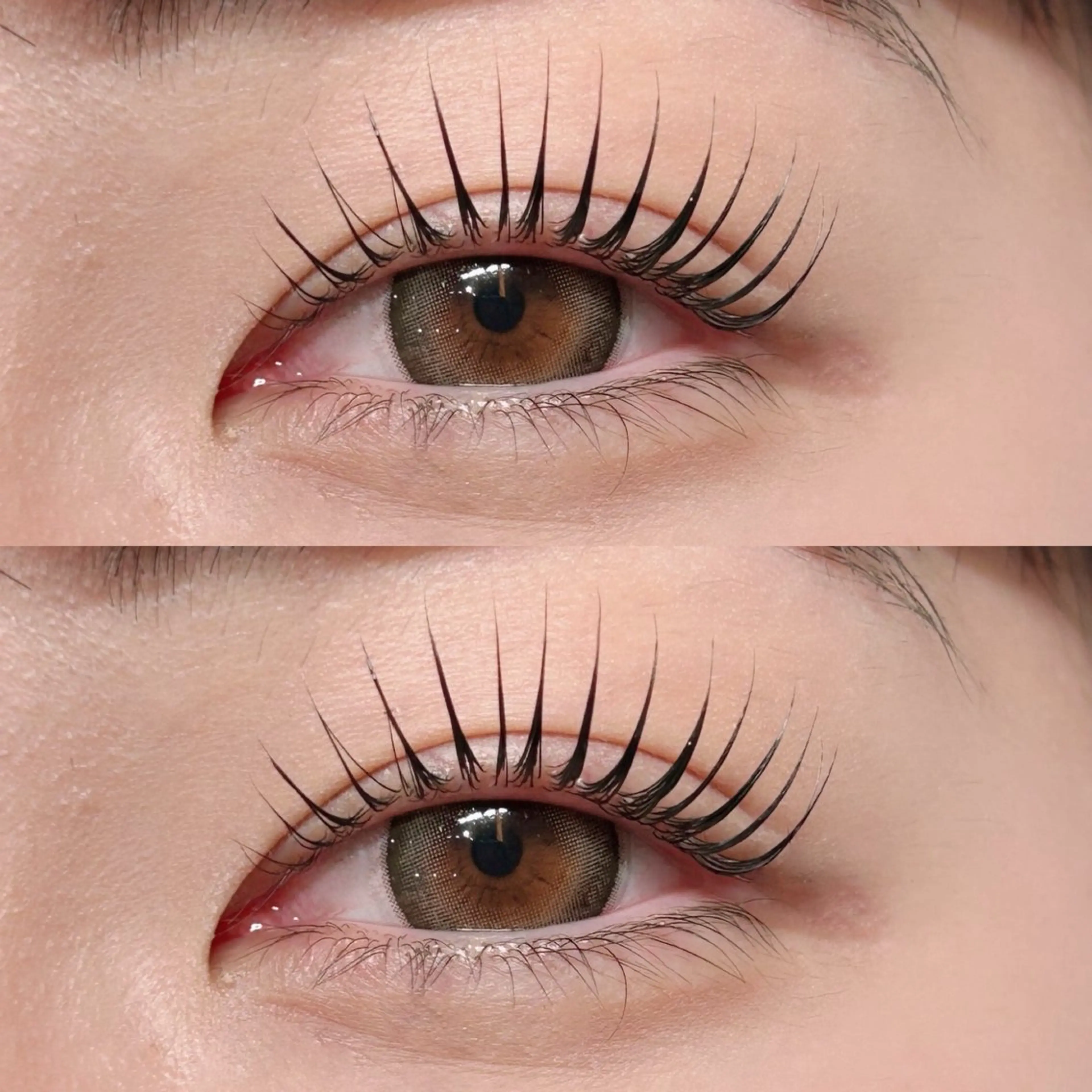 2/5ゲリラクーポン本日限定！！〈モデルメニュー〉まつ毛パーマorパリジェンヌ⚠️補足説明かならずお読みくださいの写真