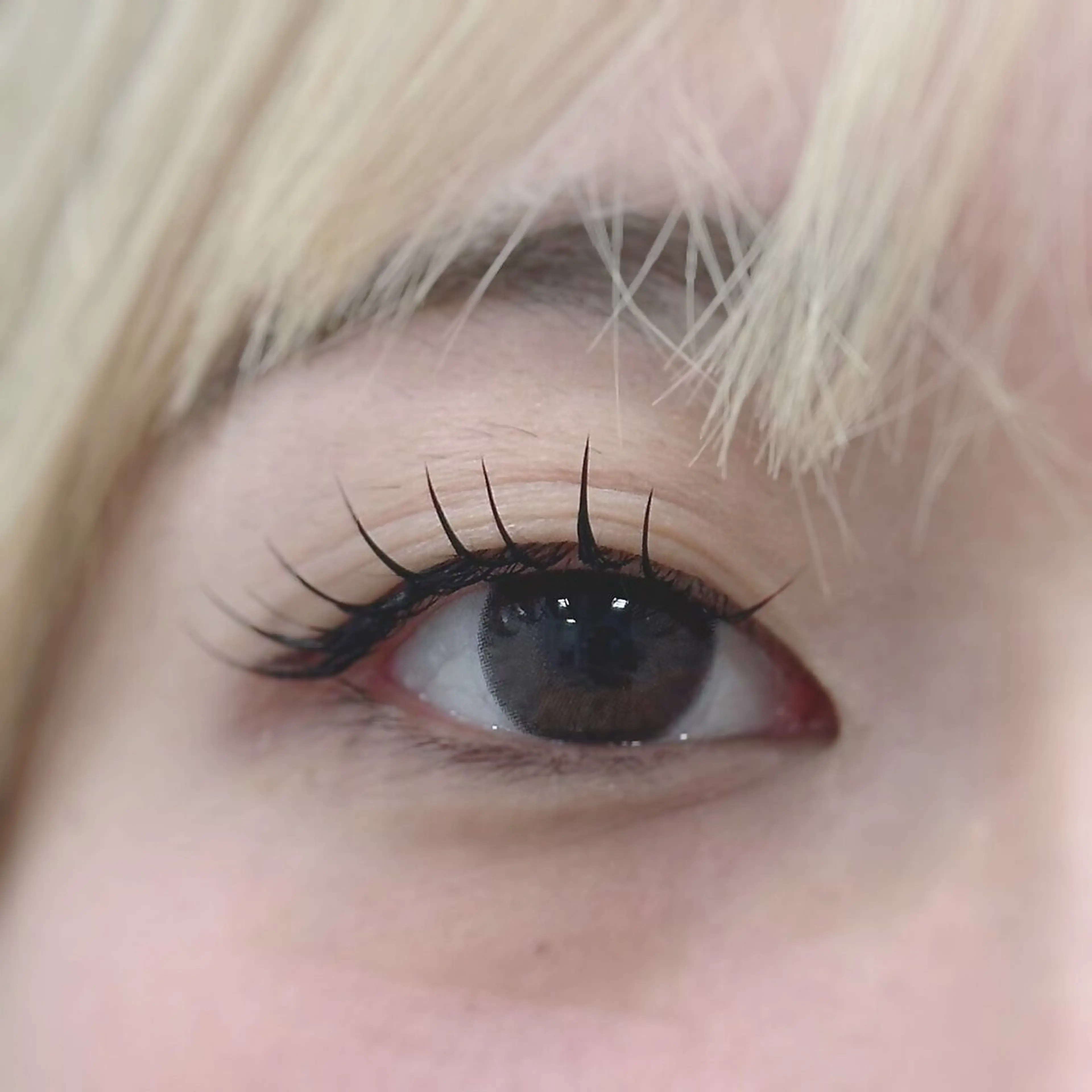 マツエク・マツパ Elle.所属・Elle. SARINAのその他イメージ