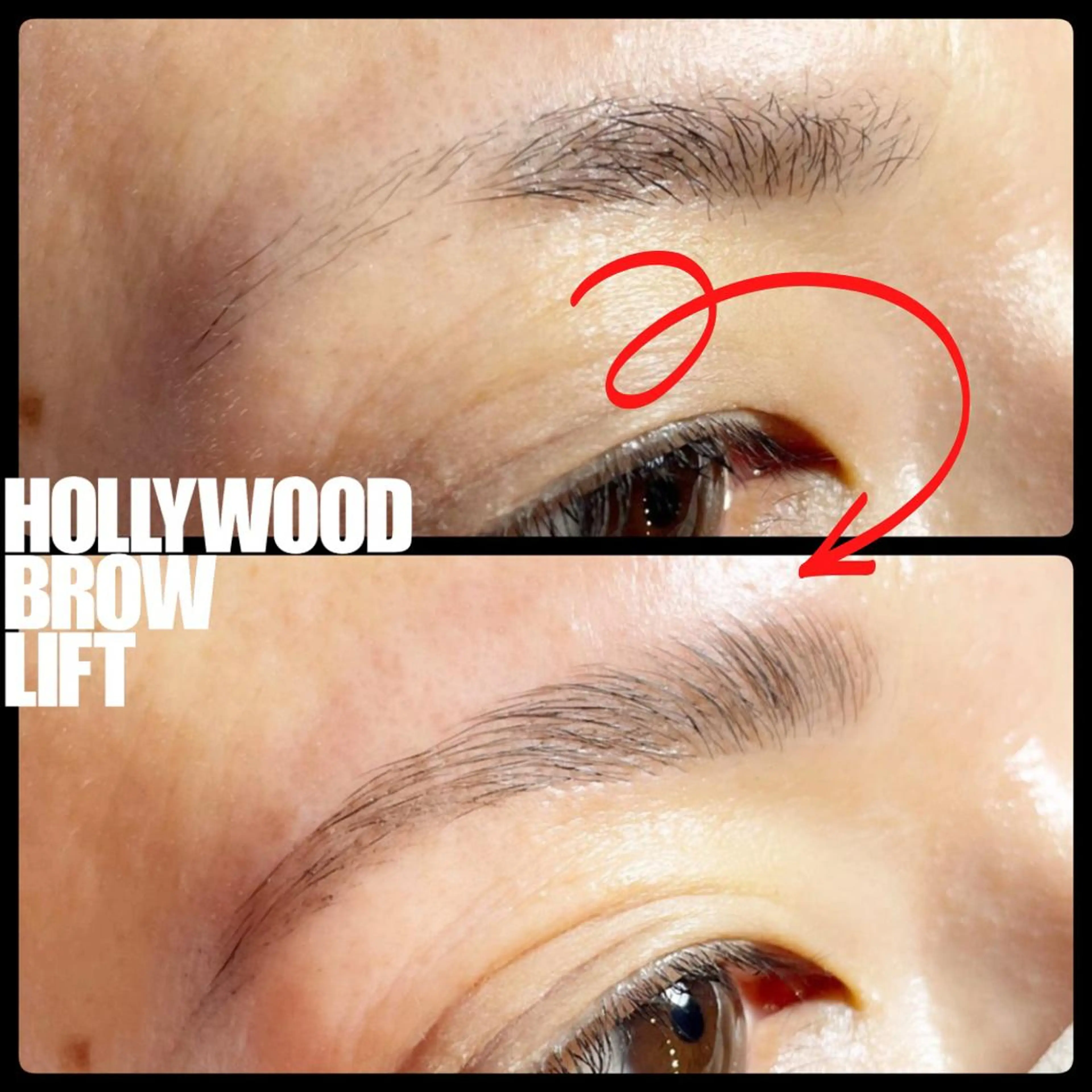 ハリウッドブロウリフト　初回お試し　¥5900の写真