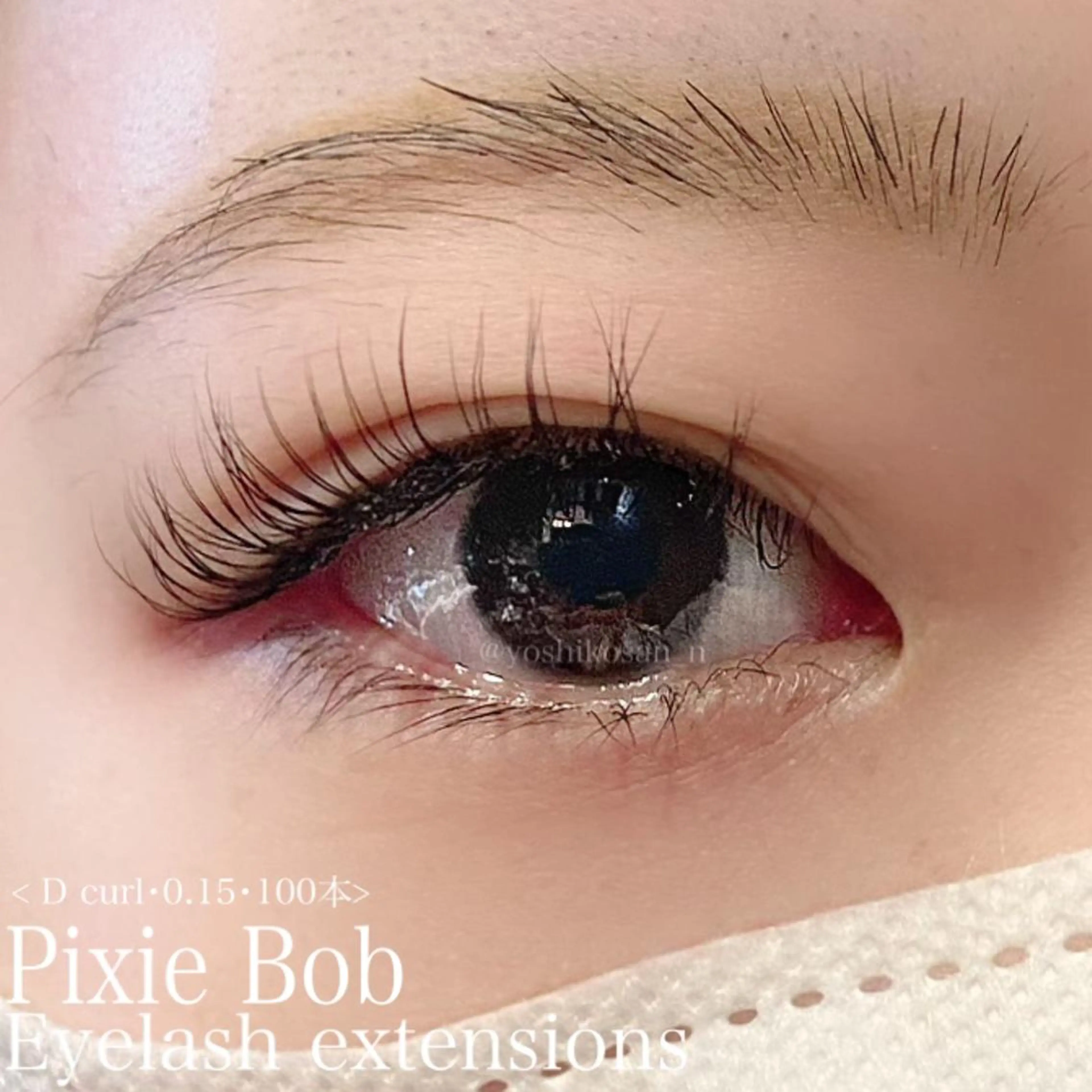 マツエク・マツパ マツエク Pixie Bob 🐈‍⬛　位田のマツエク・マツパデザイン