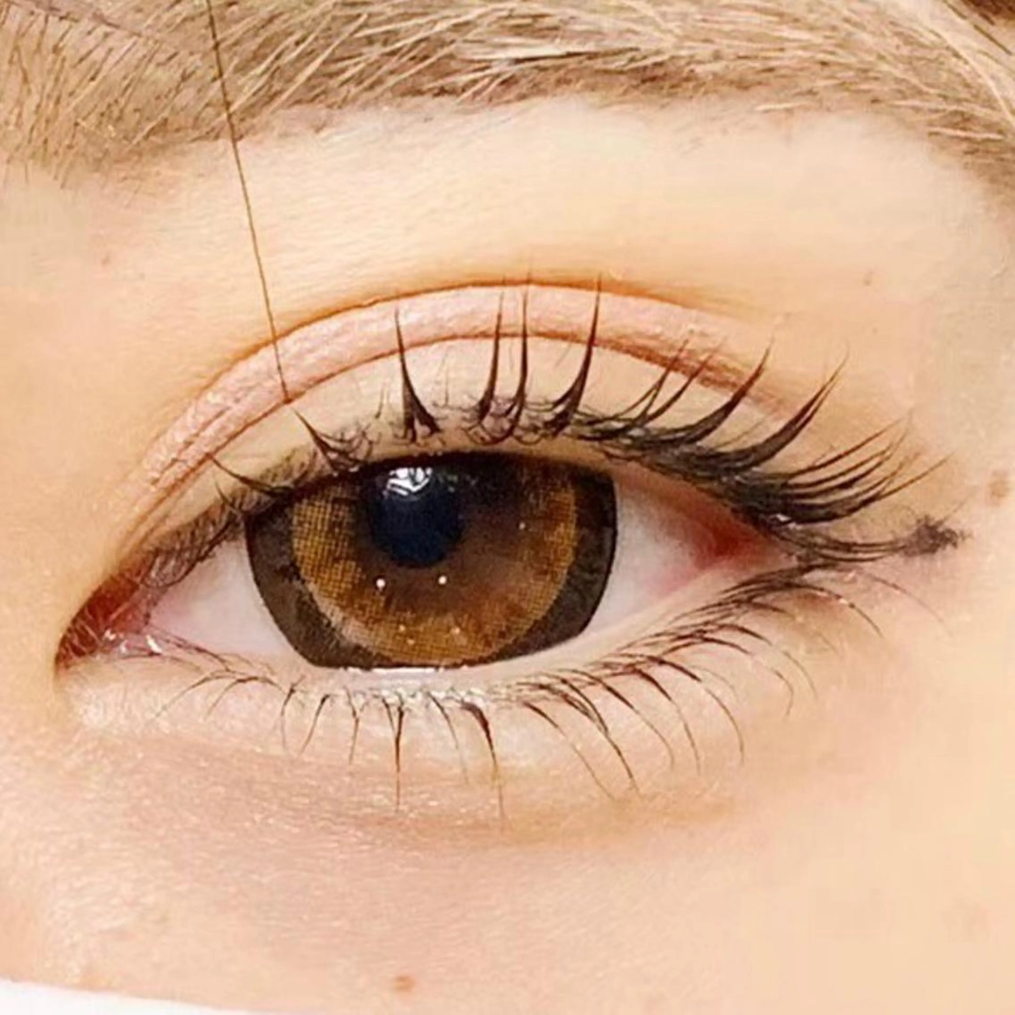 【新規/45日以内の再来】初回トリートメント付 上下まつ毛パーマの写真