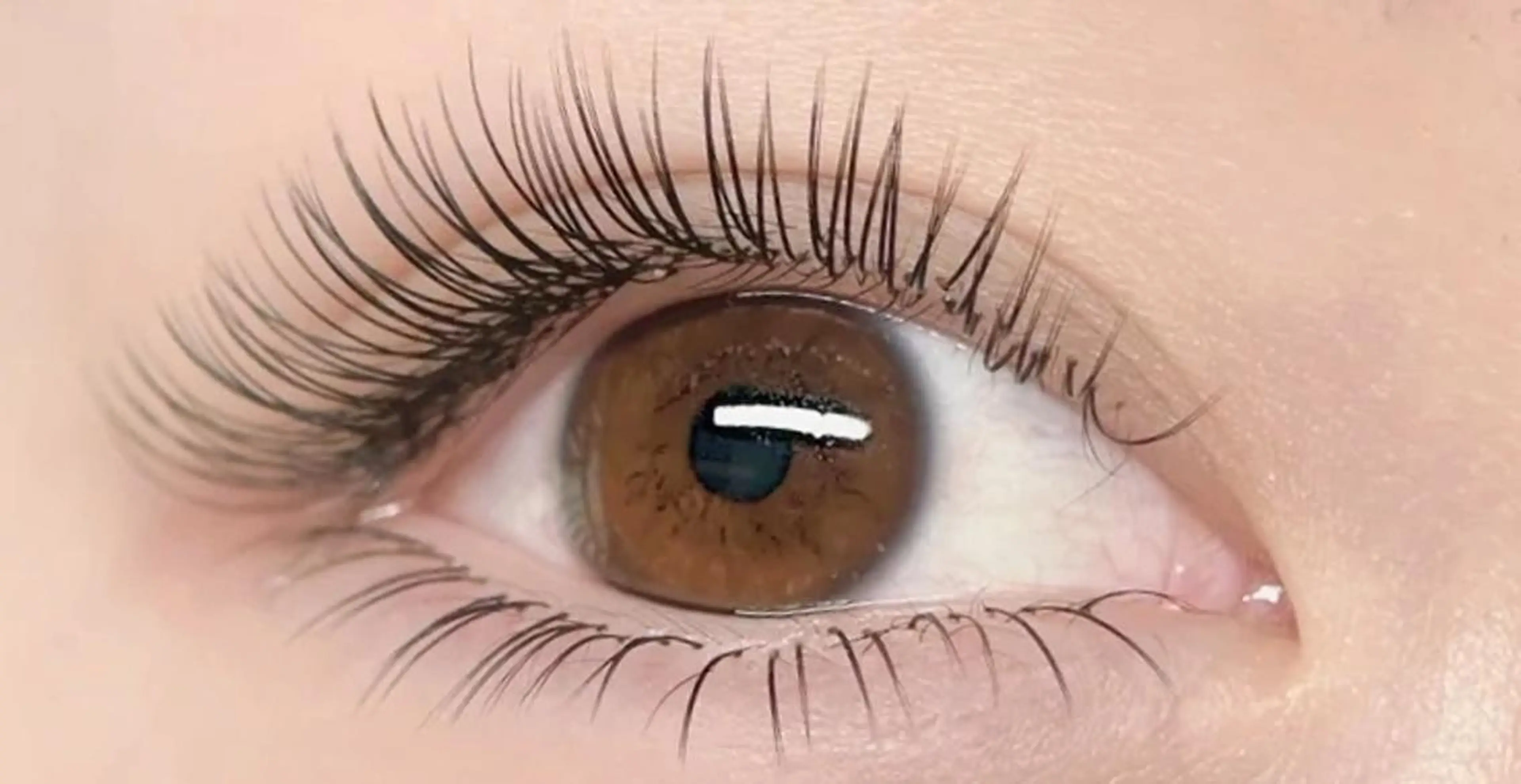 🎊キャンペーン限定🌹フラットラッシュ🌱60本🌱(✨ナチュラル感✨)付け足し🉑2回目〜3500。マツパ後➕550の写真