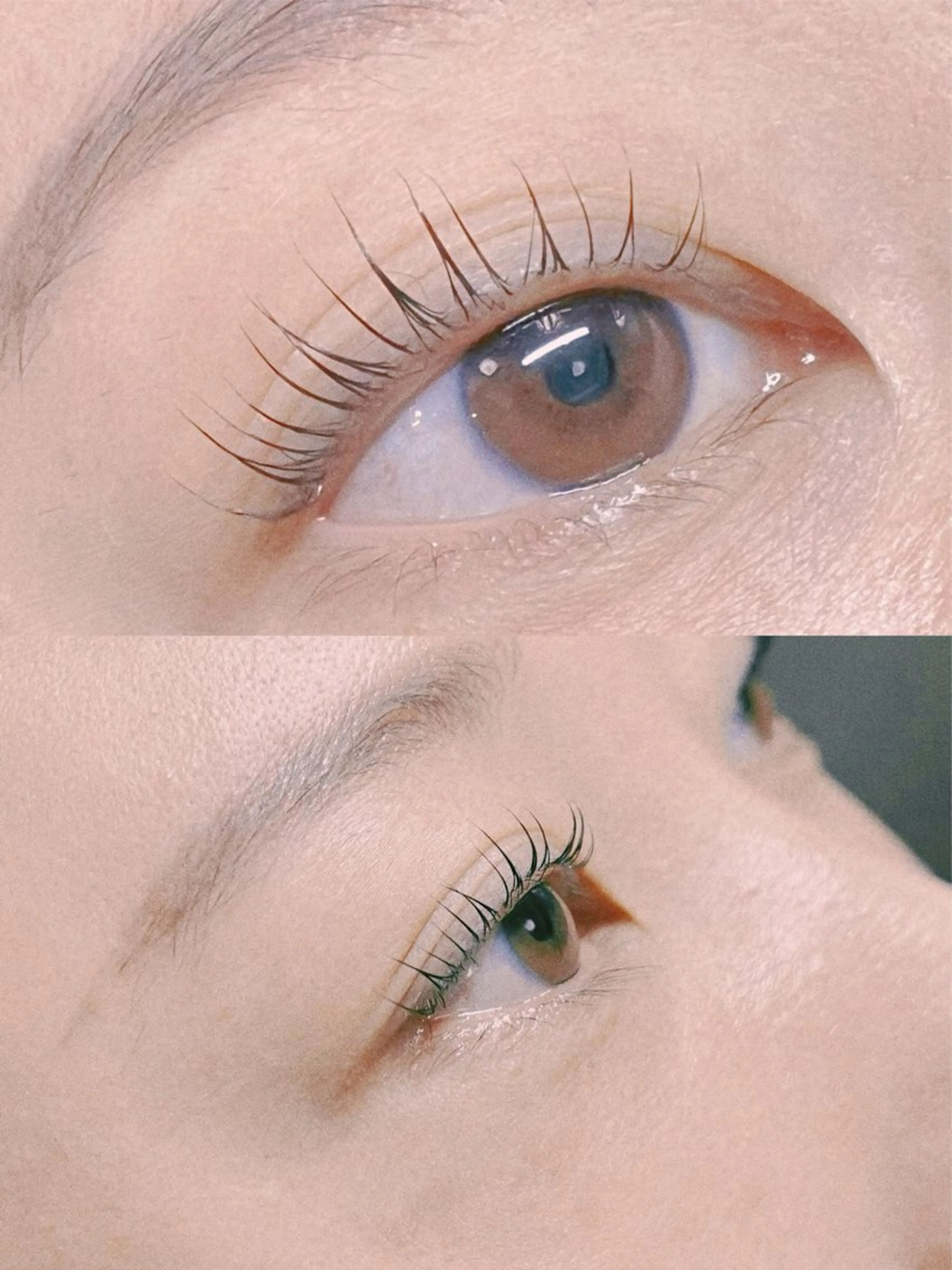 🔥ラッシュリフト/まつげパーマ🔥【美容コーティング付き】の写真