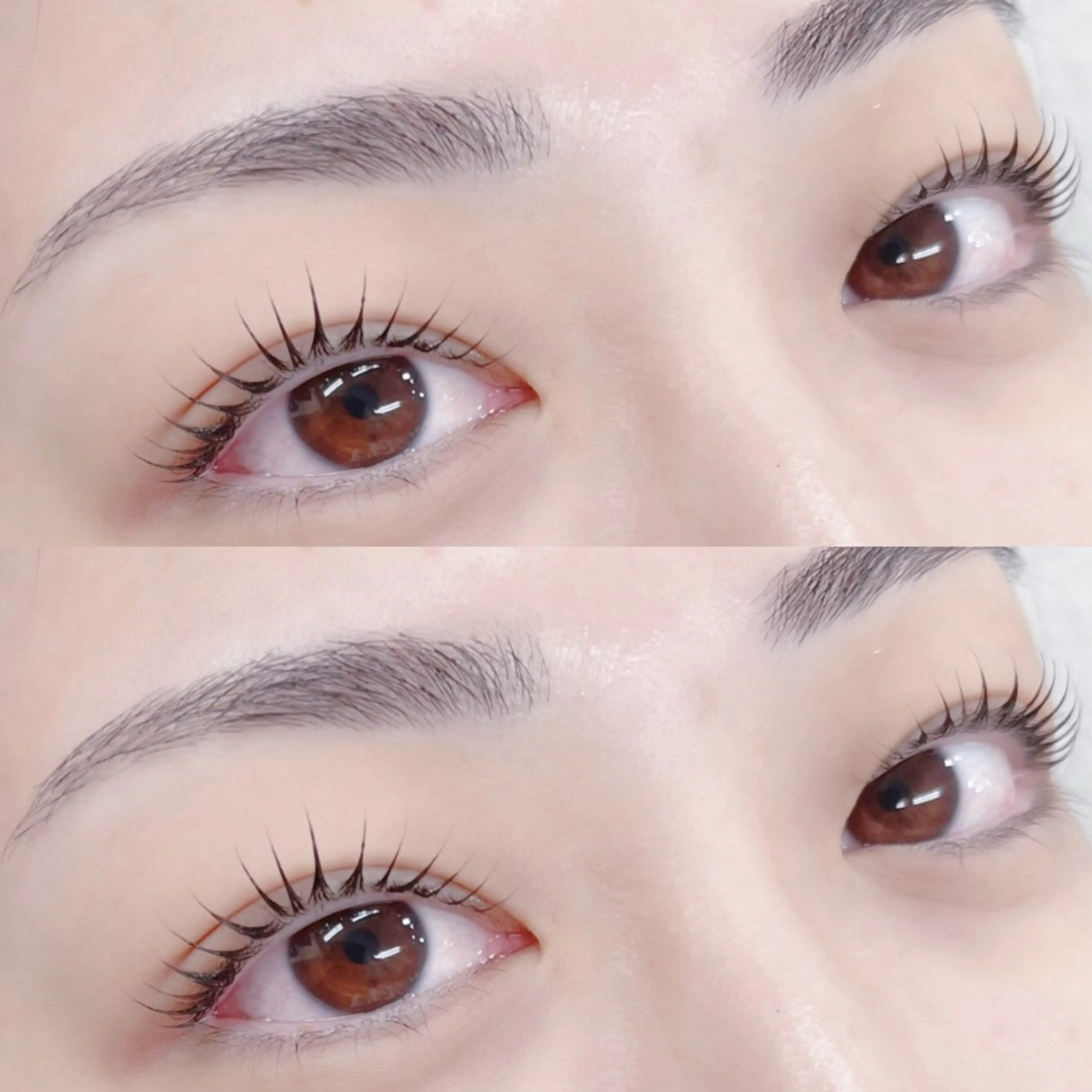 【マスカラパーマ（上）】⭐️韓国発⭐️まつげパーマ✖️ブラックティント🖤の写真