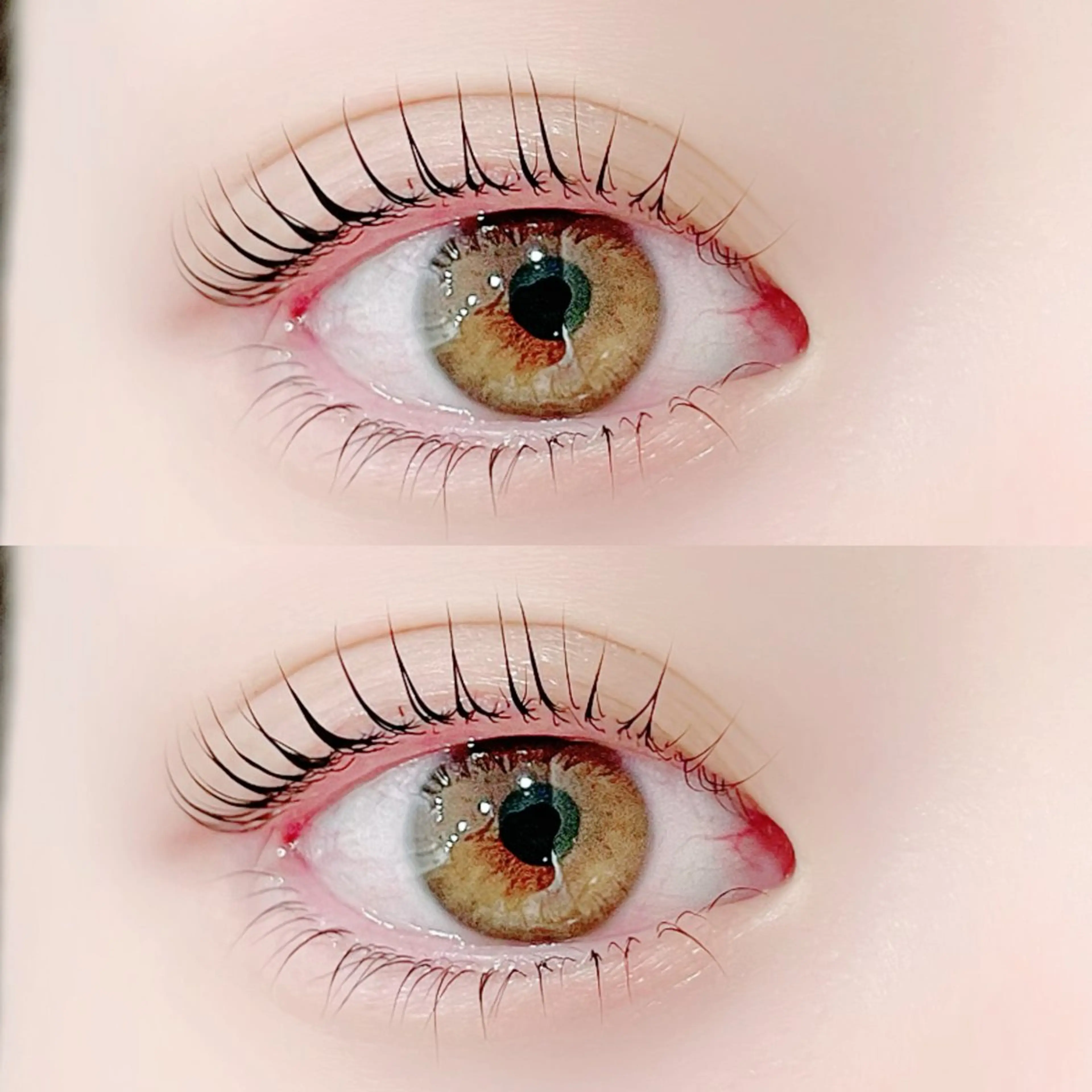 〖本日限定◎30%𝑶𝑭𝑭🤍〗上下まつ毛パーマ❕🐰ྀིの写真